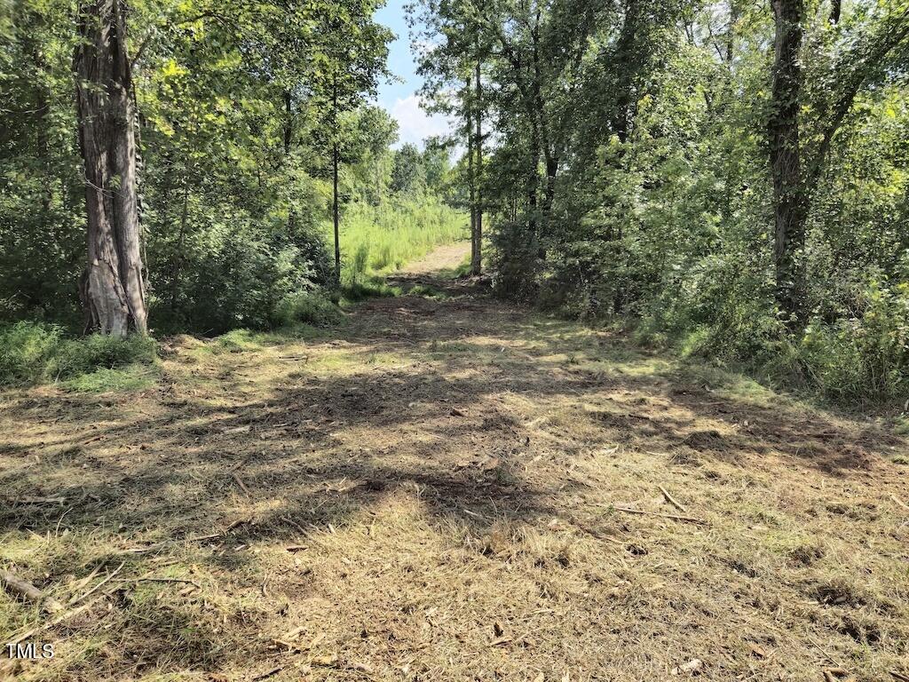 0 Taylor Farm Lane Property Photo 23