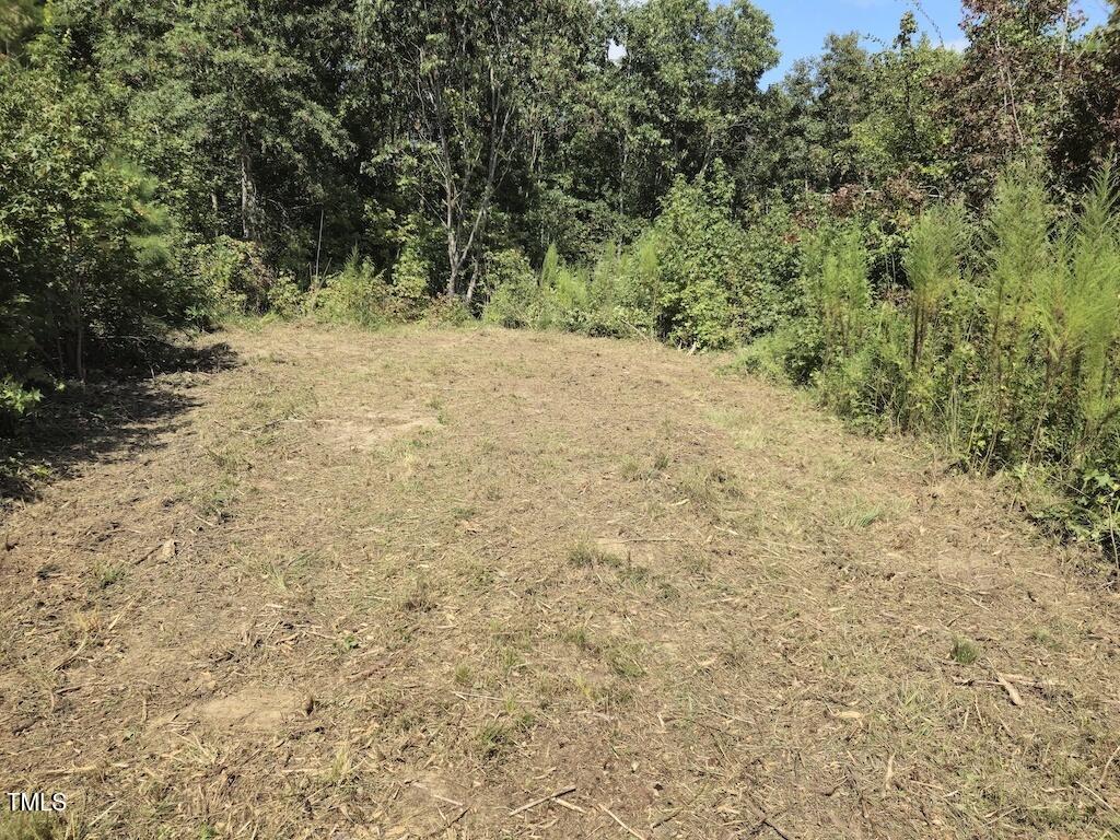 0 Taylor Farm Lane Property Photo 24