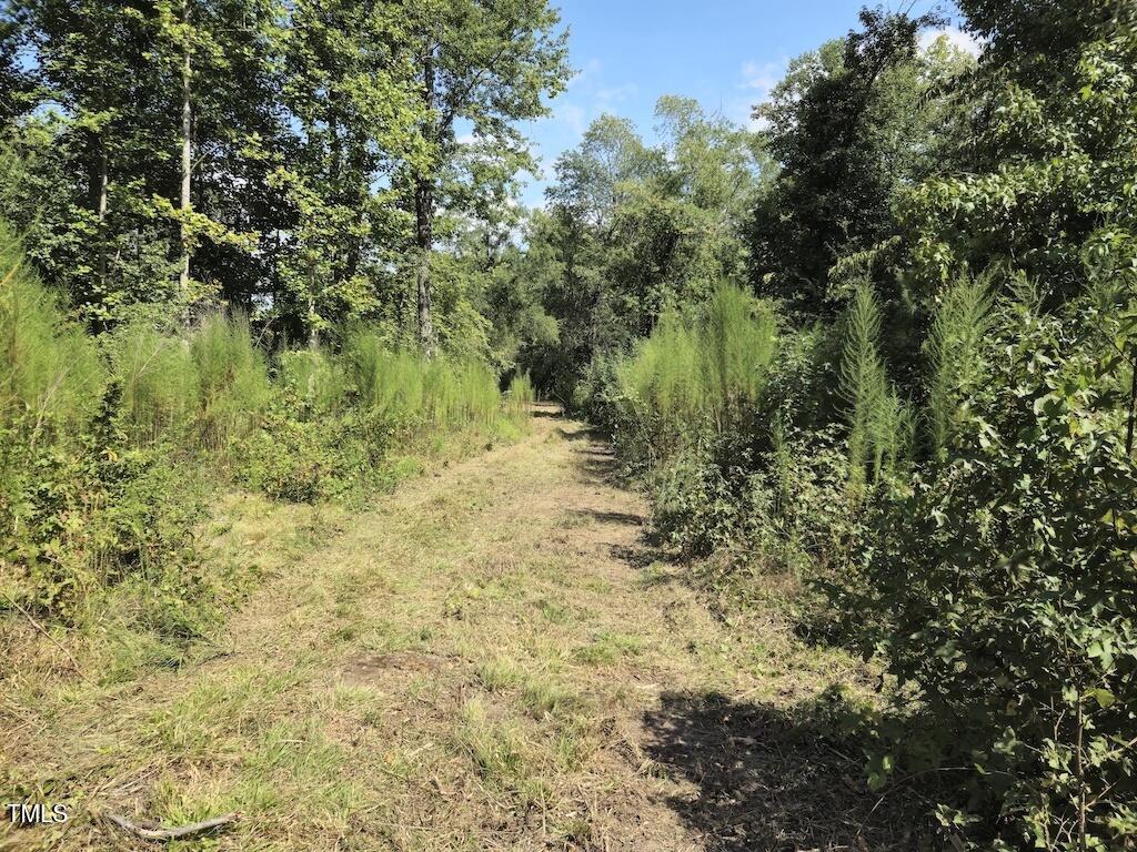 0 Taylor Farm Lane Property Photo 25