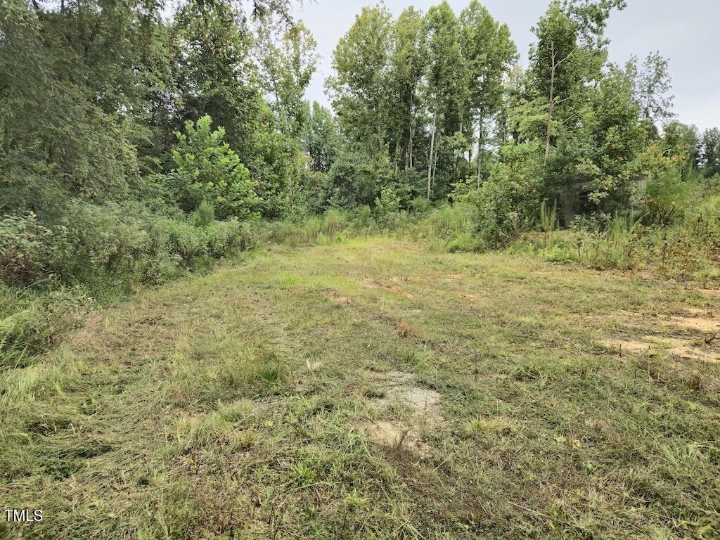 0 Taylor Farm Lane Property Photo 28
