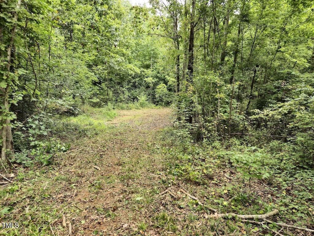 0 Taylor Farm Lane Property Photo 29