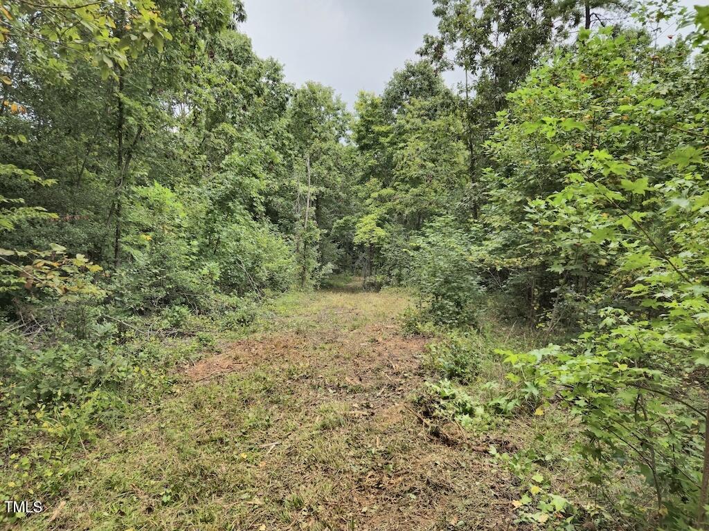 0 Taylor Farm Lane Property Photo 31