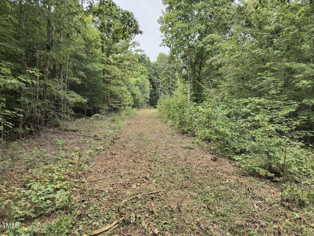 0 Taylor Farm Lane Property Photo 32