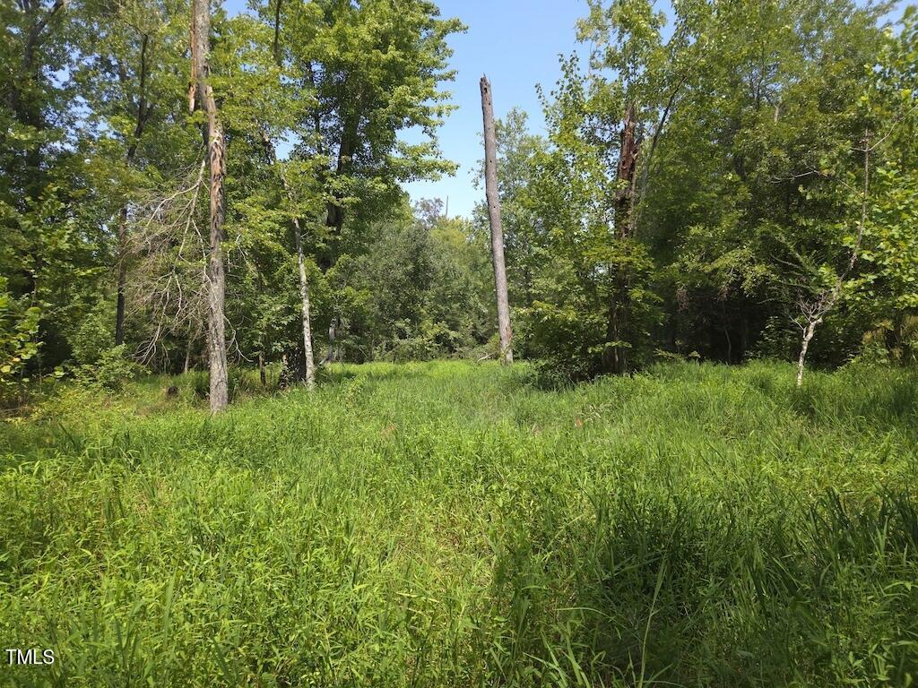 0 Taylor Farm Lane Property Photo 38