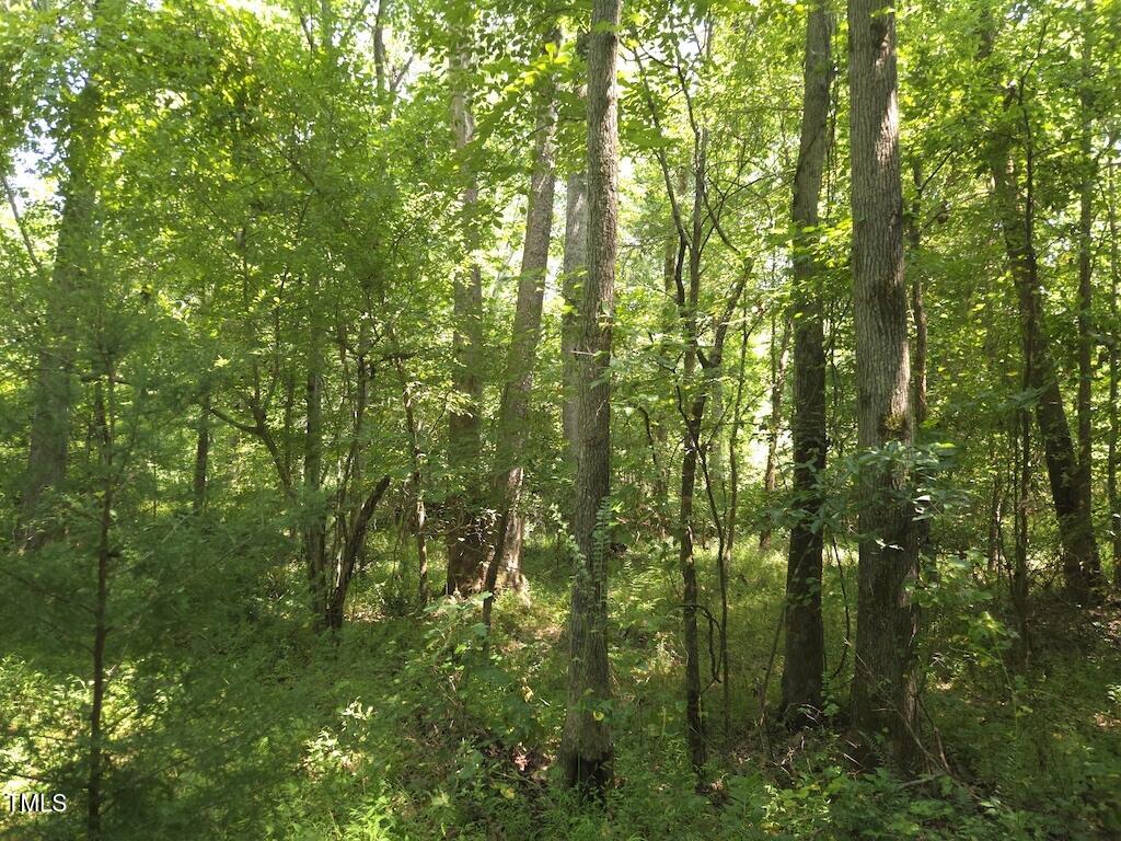 0 Taylor Farm Lane Property Photo 39