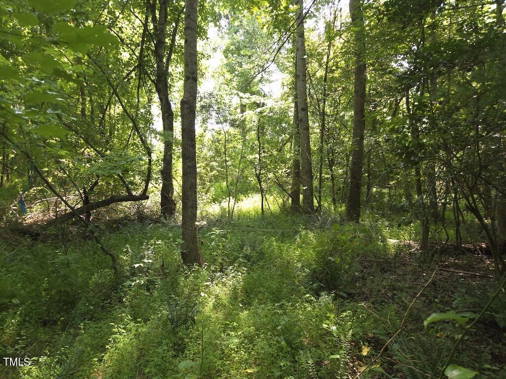 0 Taylor Farm Lane Property Photo 41