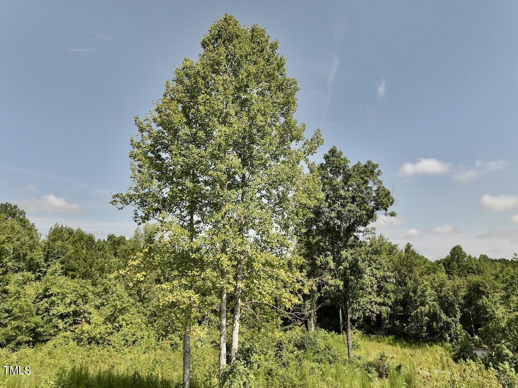 0 Taylor Farm Lane Property Photo 50