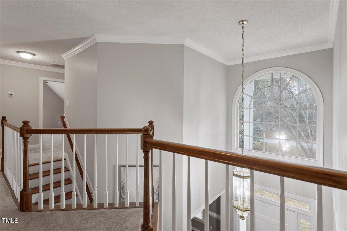 1513 Holland Hills Drive Property Photo 23
