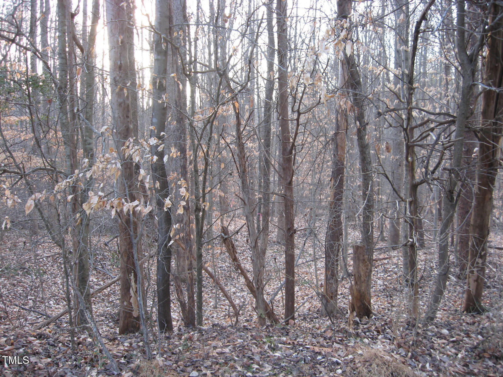 Tbd Creek Point Place Property Photo 2