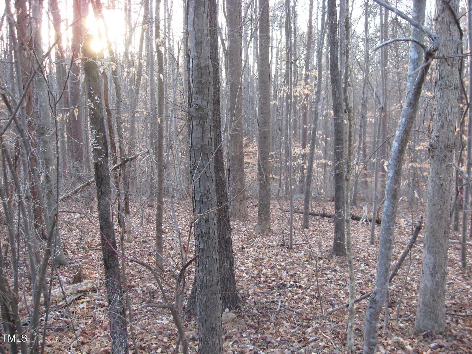 Tbd Creek Point Place Property Photo 3