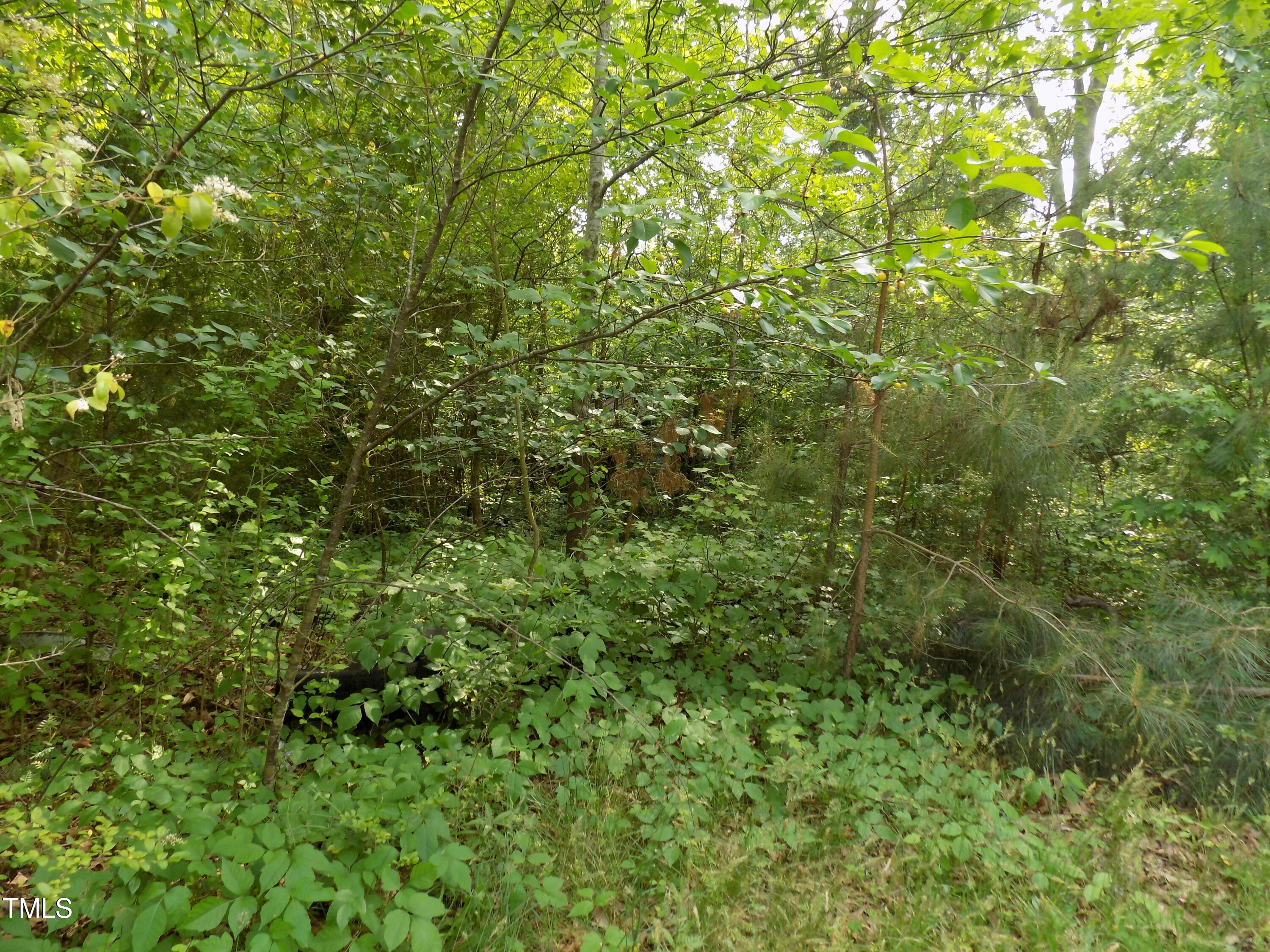 933 Bunn Elementary School Road Property Photo 4