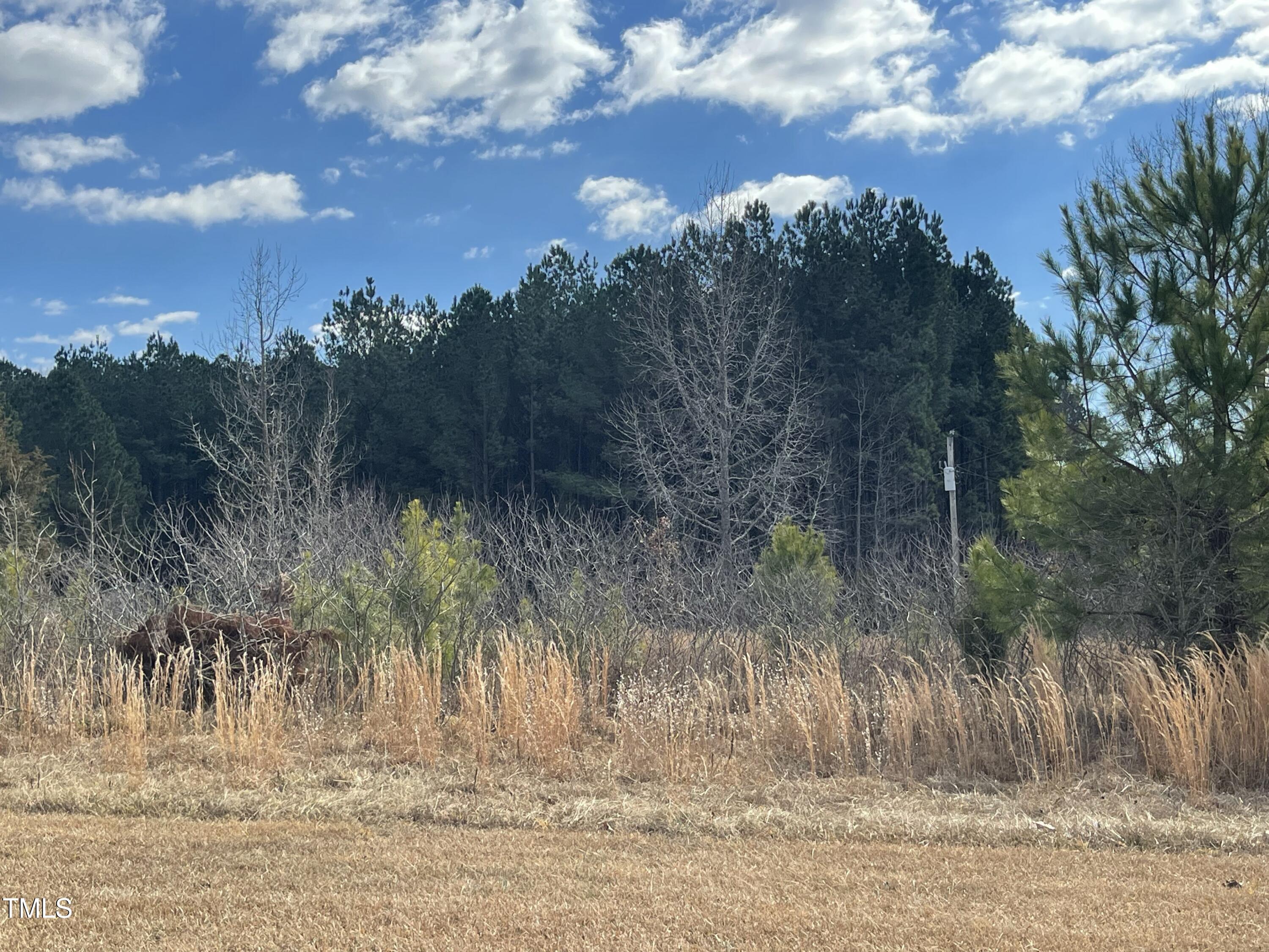 1222 Tempting Church Road Property Photo 3