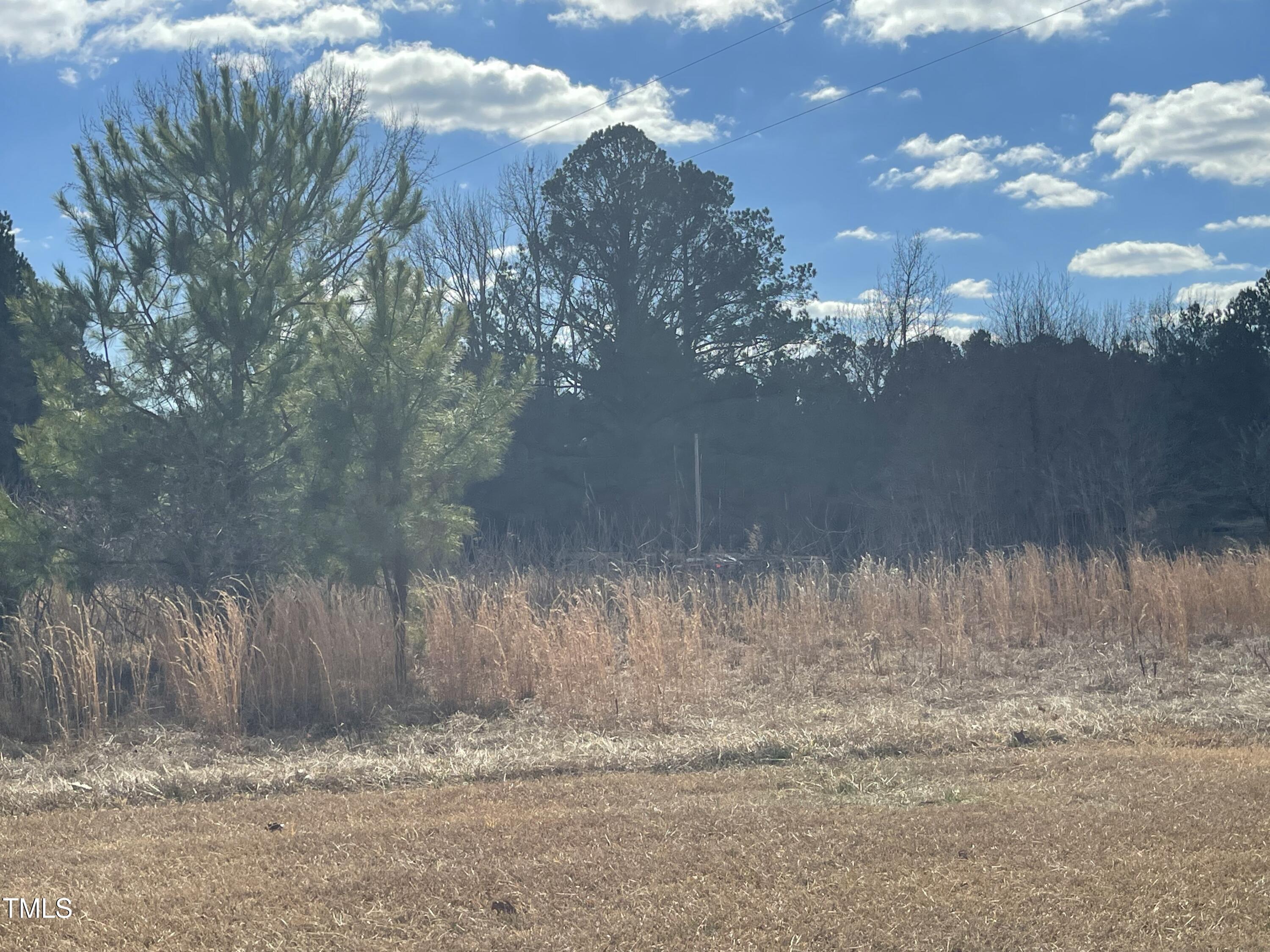 1222 Tempting Church Road Property Photo 4