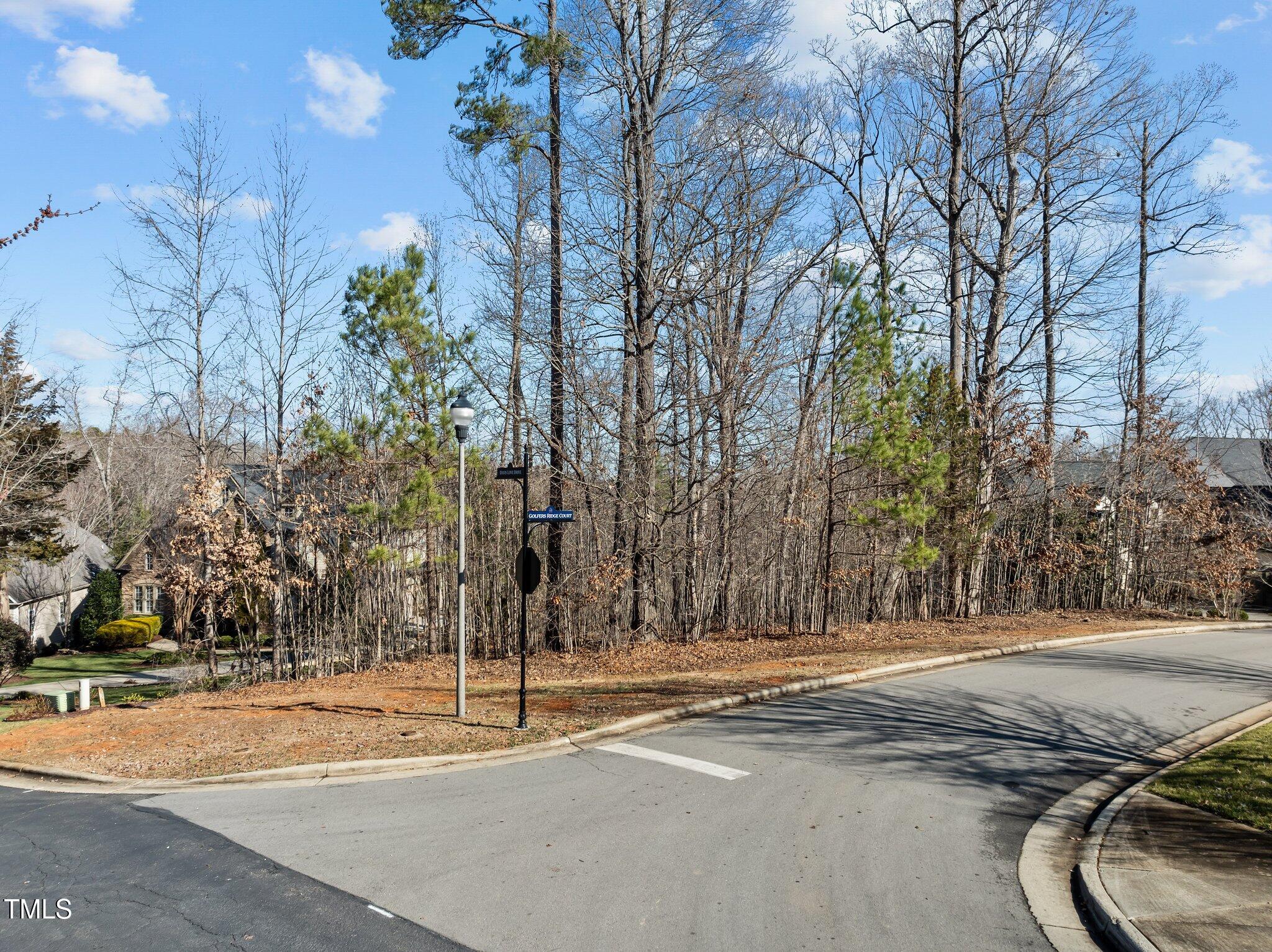 15 Golfers Ridge Court Property Photo 8