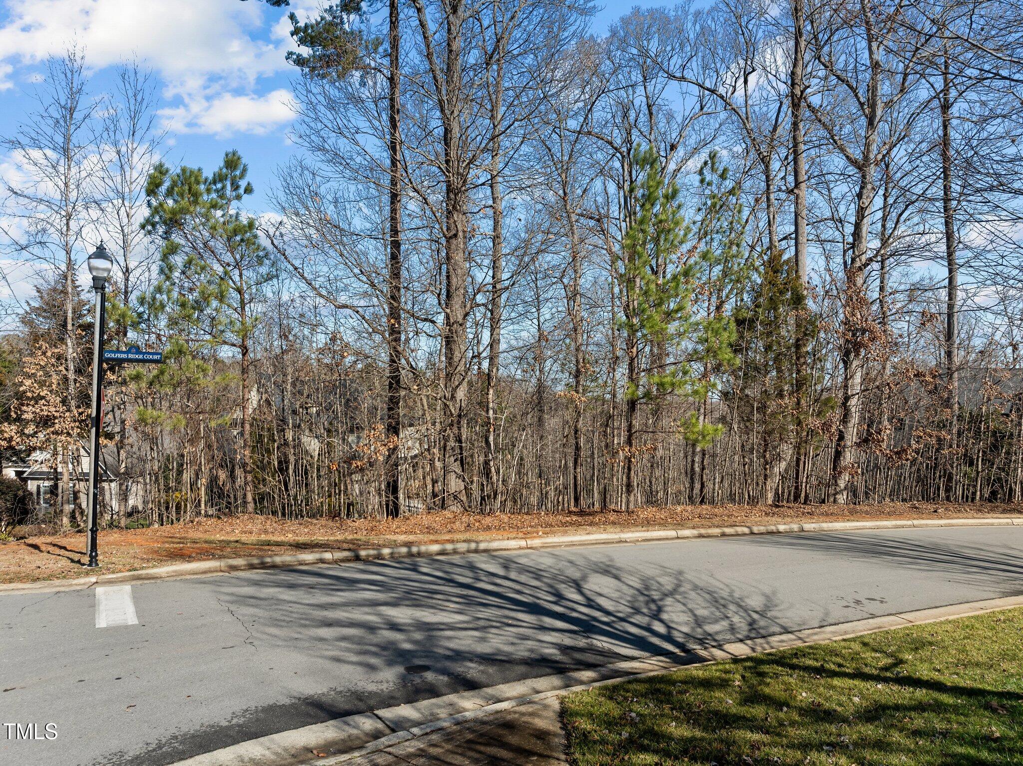 15 Golfers Ridge Court Property Photo 10