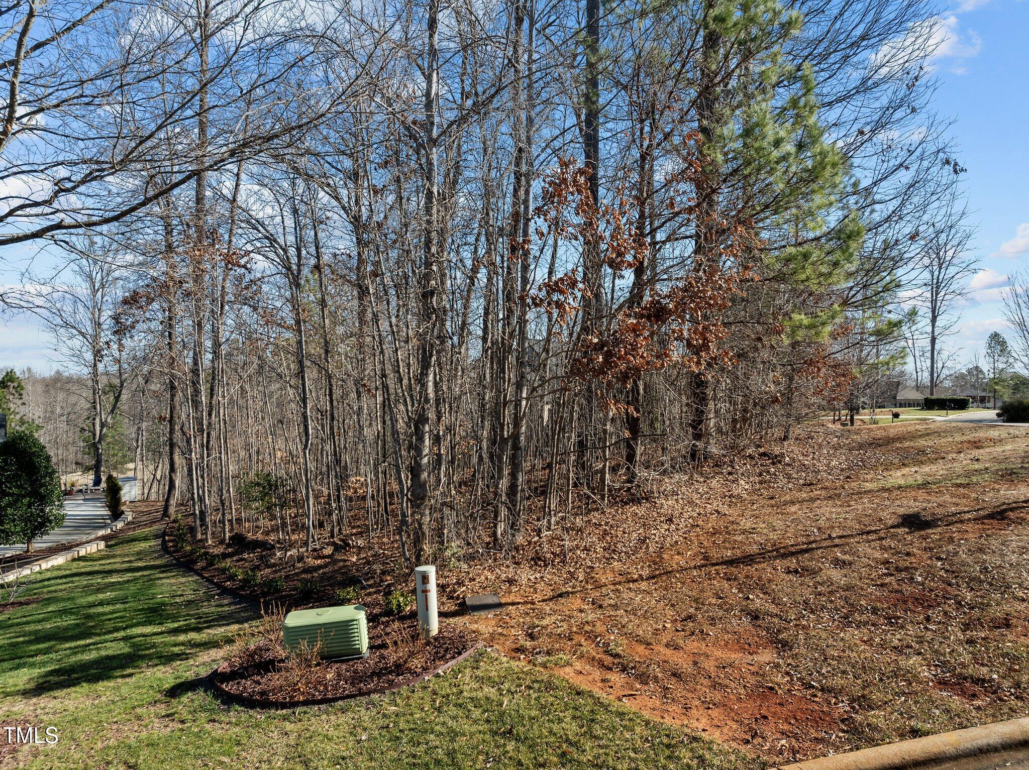 15 Golfers Ridge Court Property Photo 11