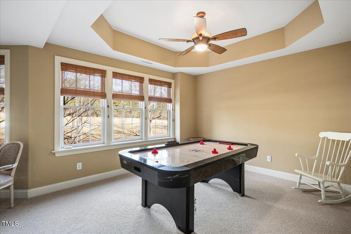 2933 Elmfield Street Property Photo 46