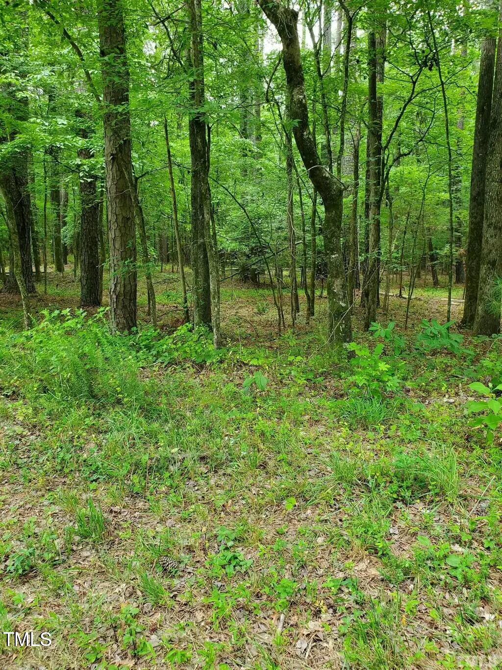 0 Lot 20 Pool Rock Road Property Photo