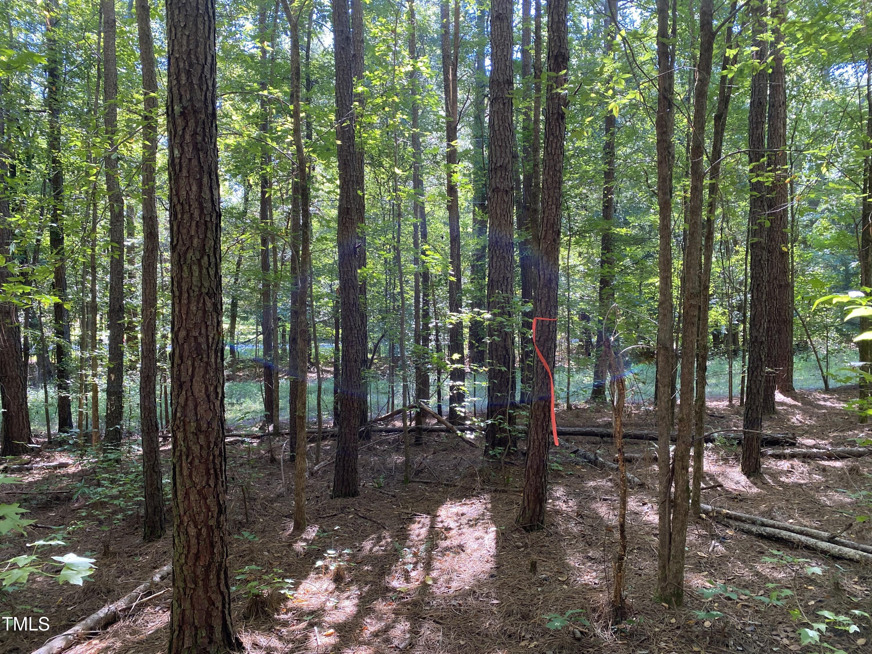 000 Collins Road Lot 5 Road Property Photo