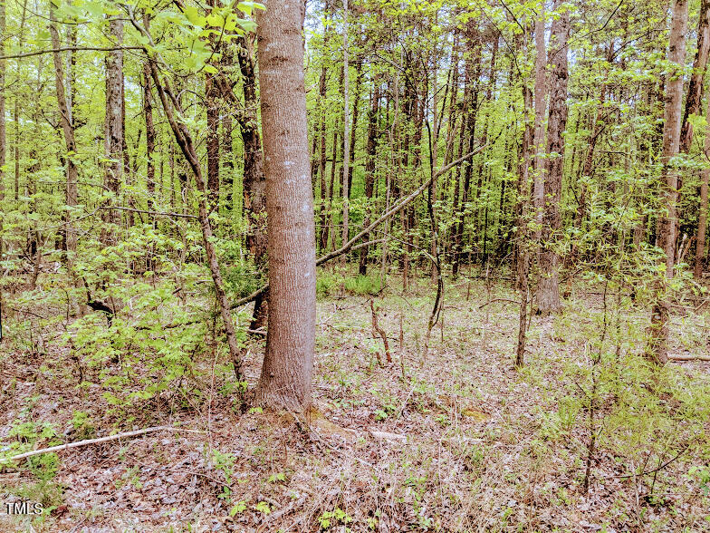 97 Occoneechee Drive Property Photo