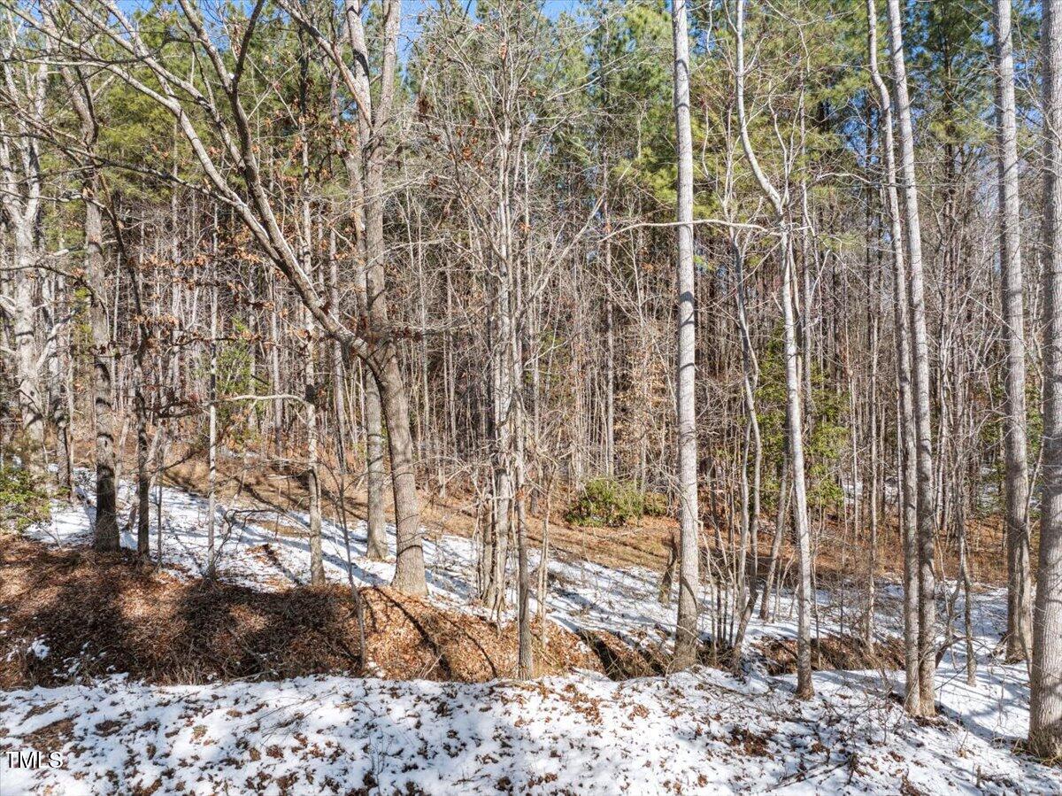 0 Lot 1 Rowe Estates Property Photo 18