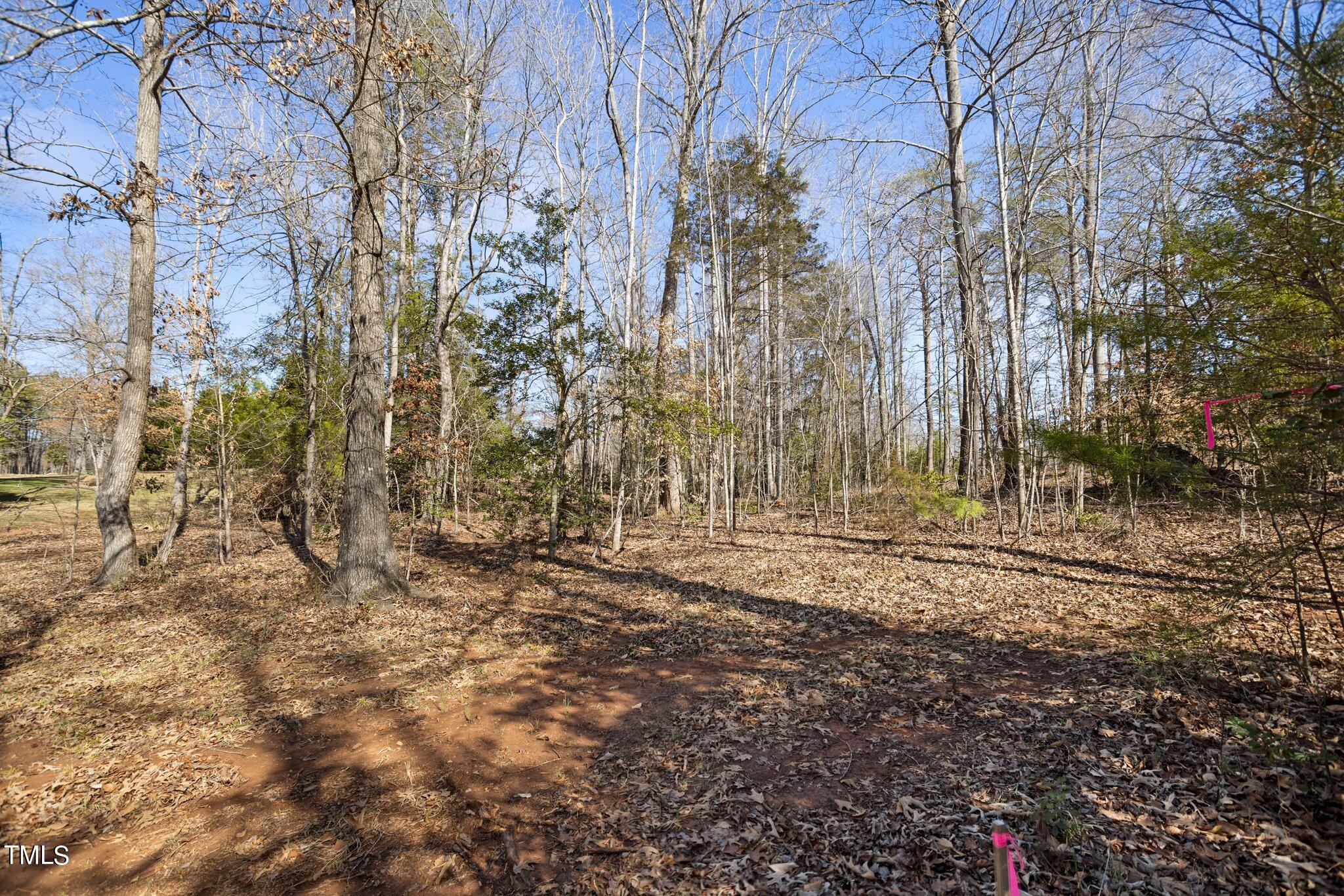 2615 Mableton Drive Property Photo 8