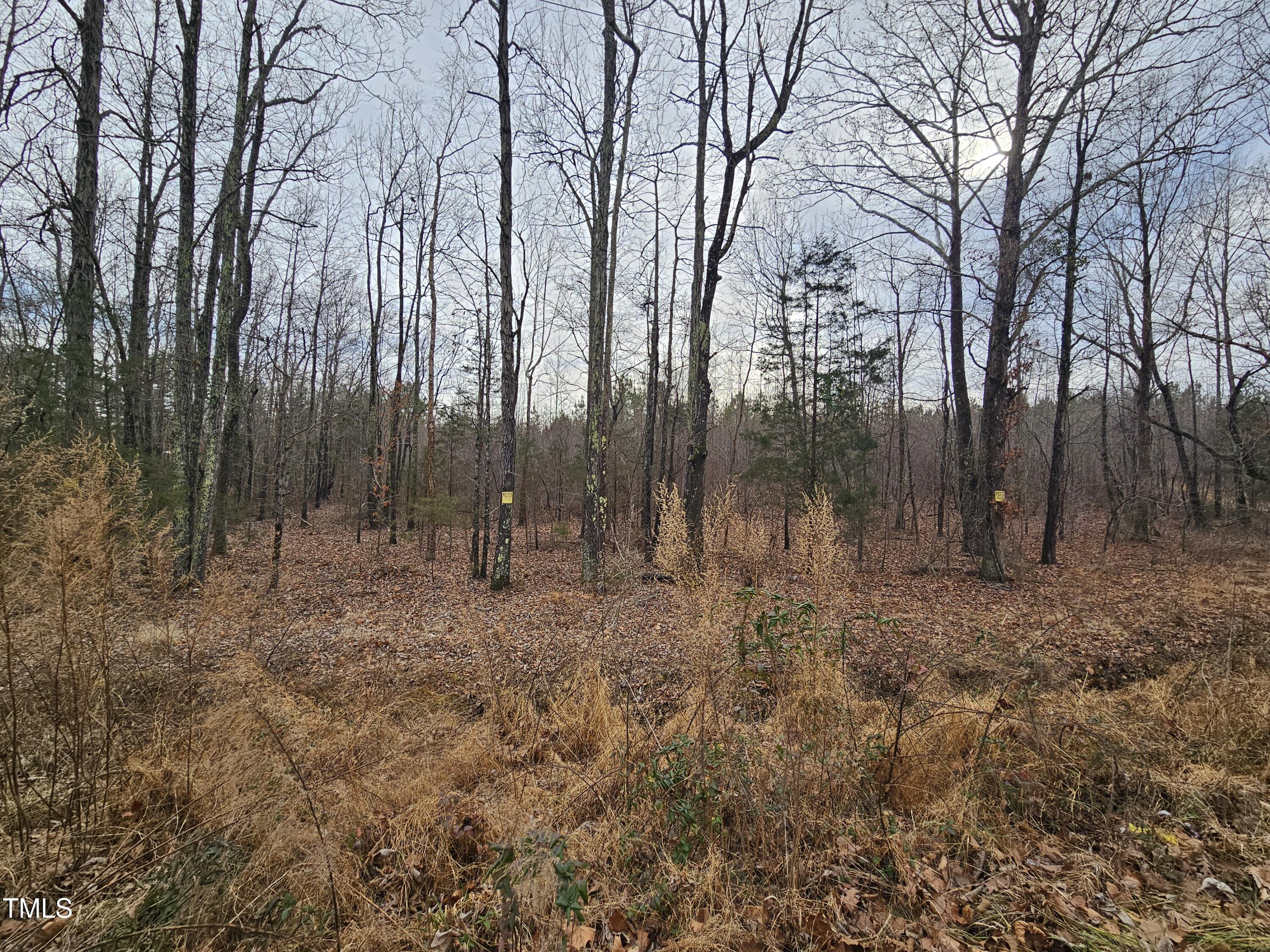 0 Charlie Stovall Road Property Photo 1