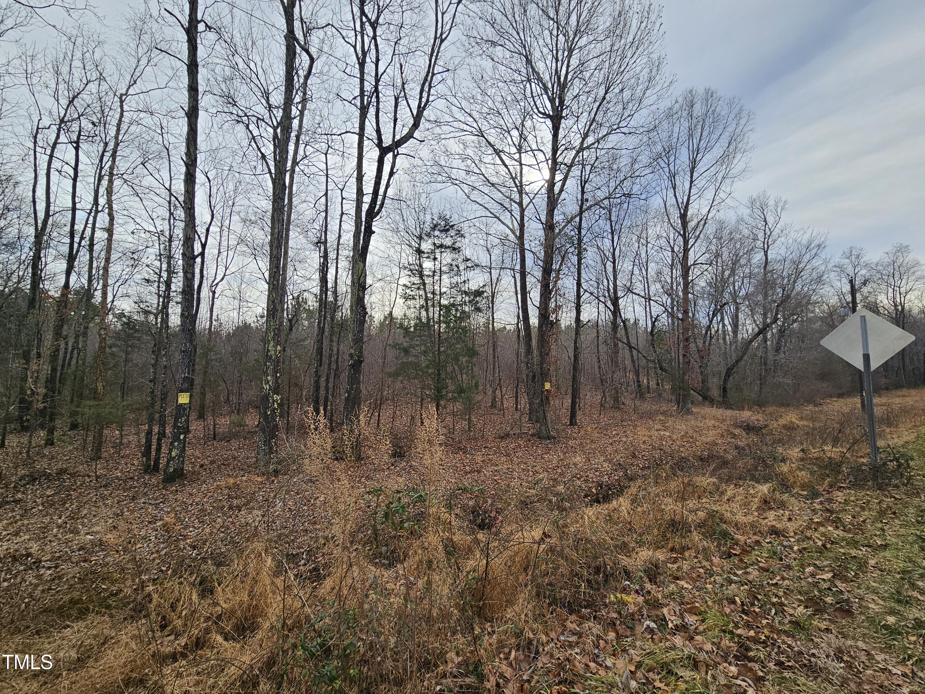 0 Charlie Stovall Road Property Photo 2