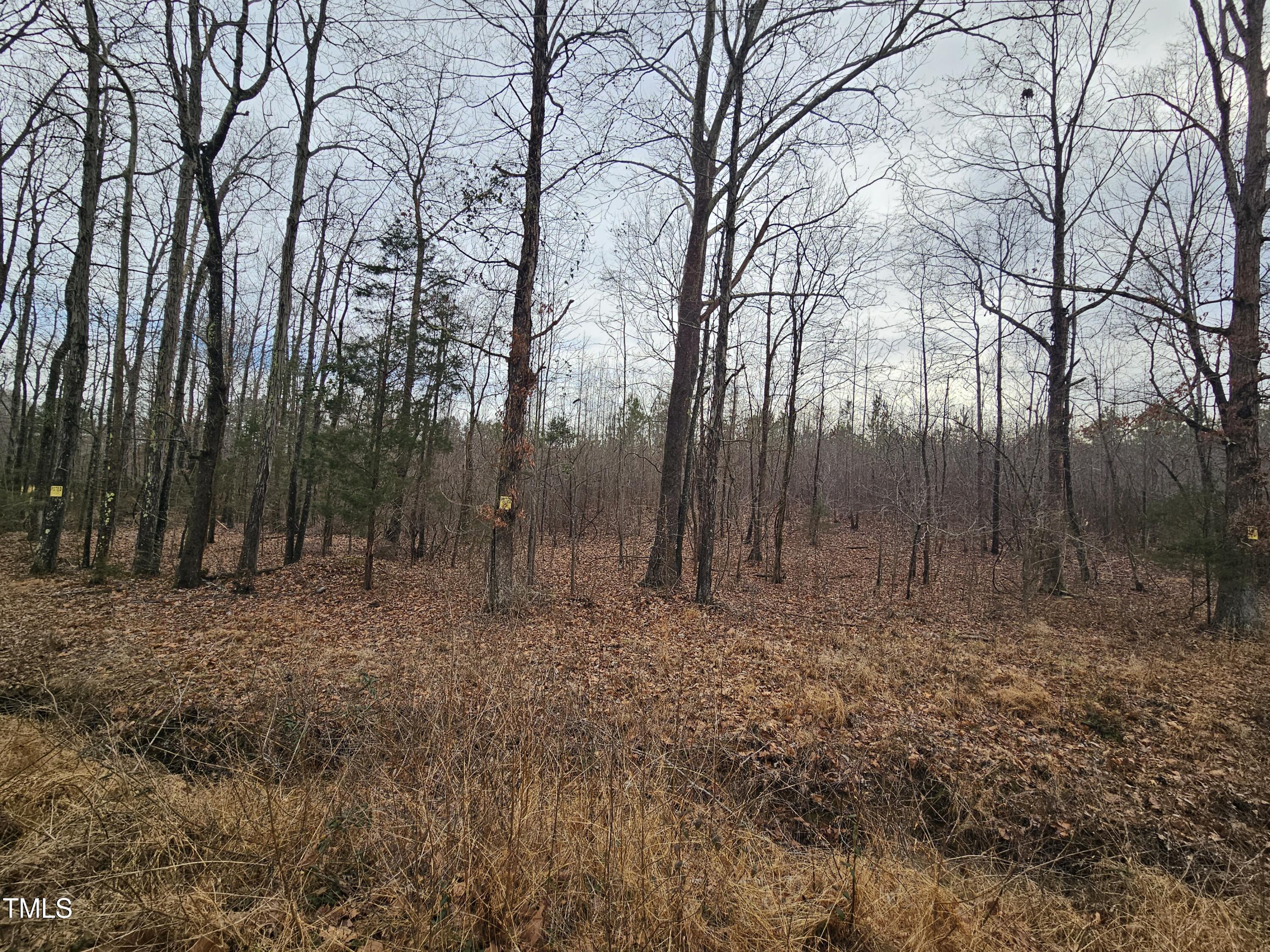 0 Charlie Stovall Road Property Photo 3