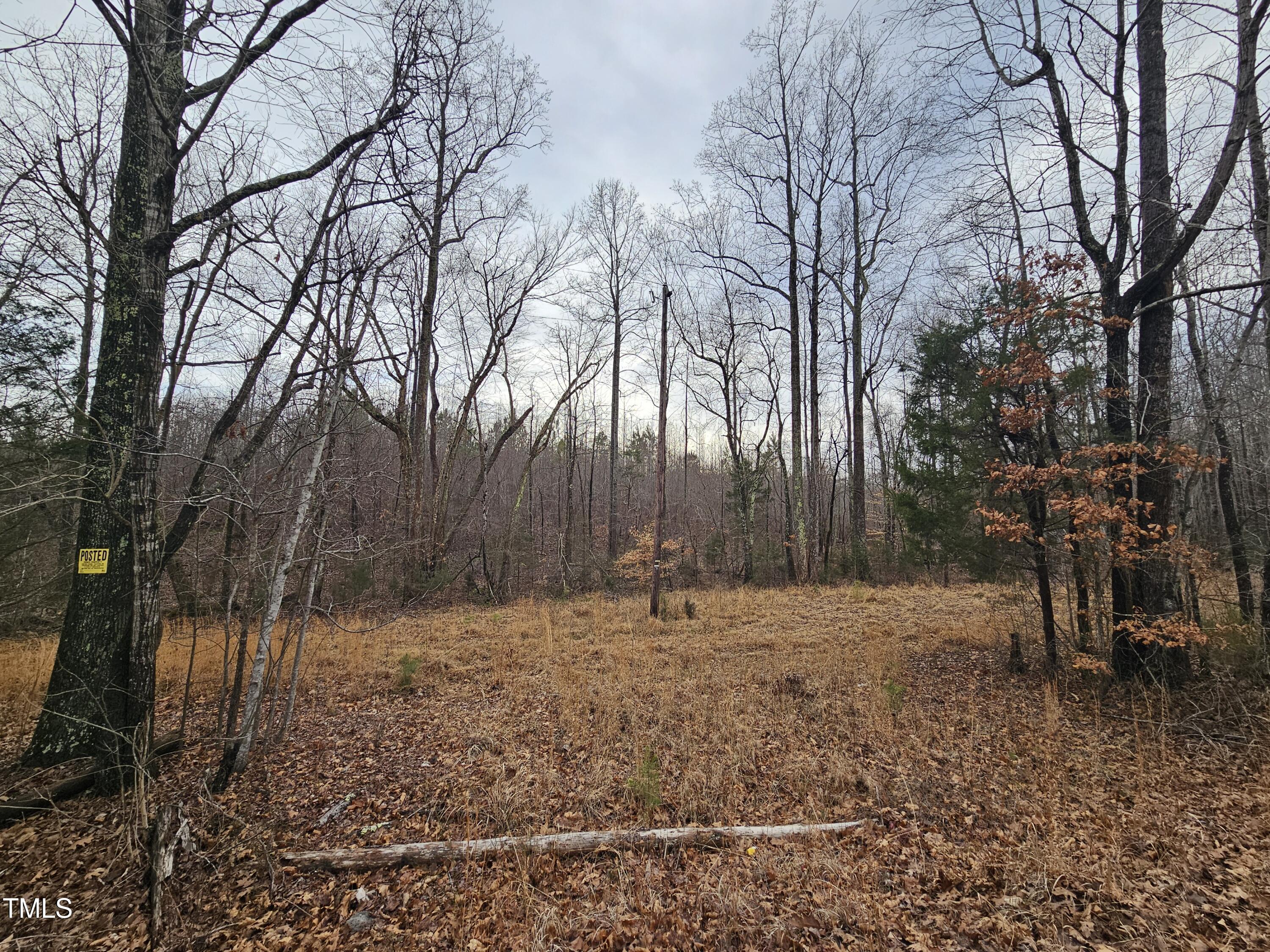 0 Charlie Stovall Road Property Photo 5