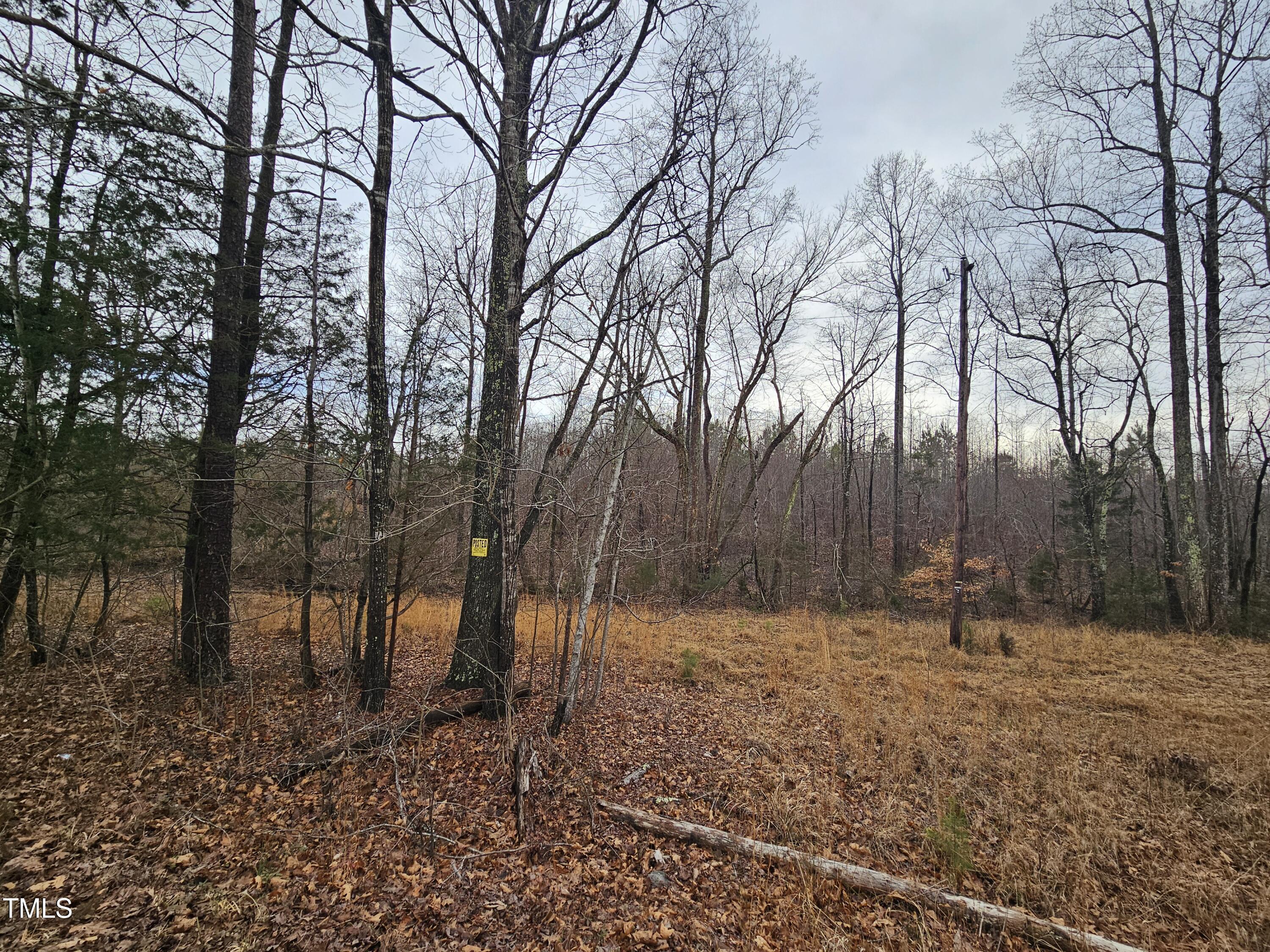 0 Charlie Stovall Road Property Photo 6