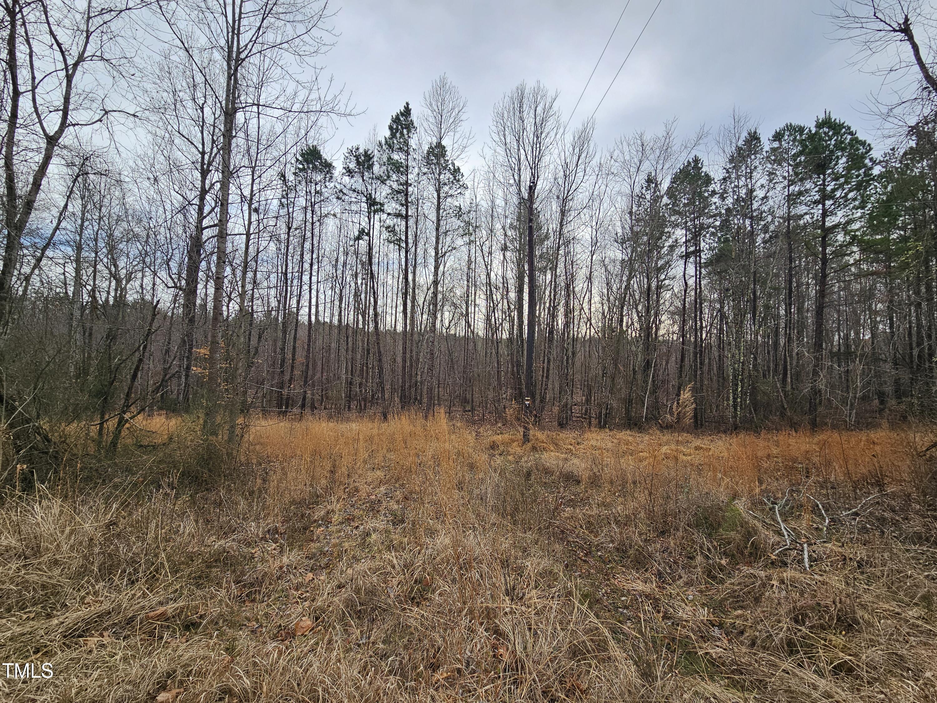 0 Charlie Stovall Road Property Photo 8