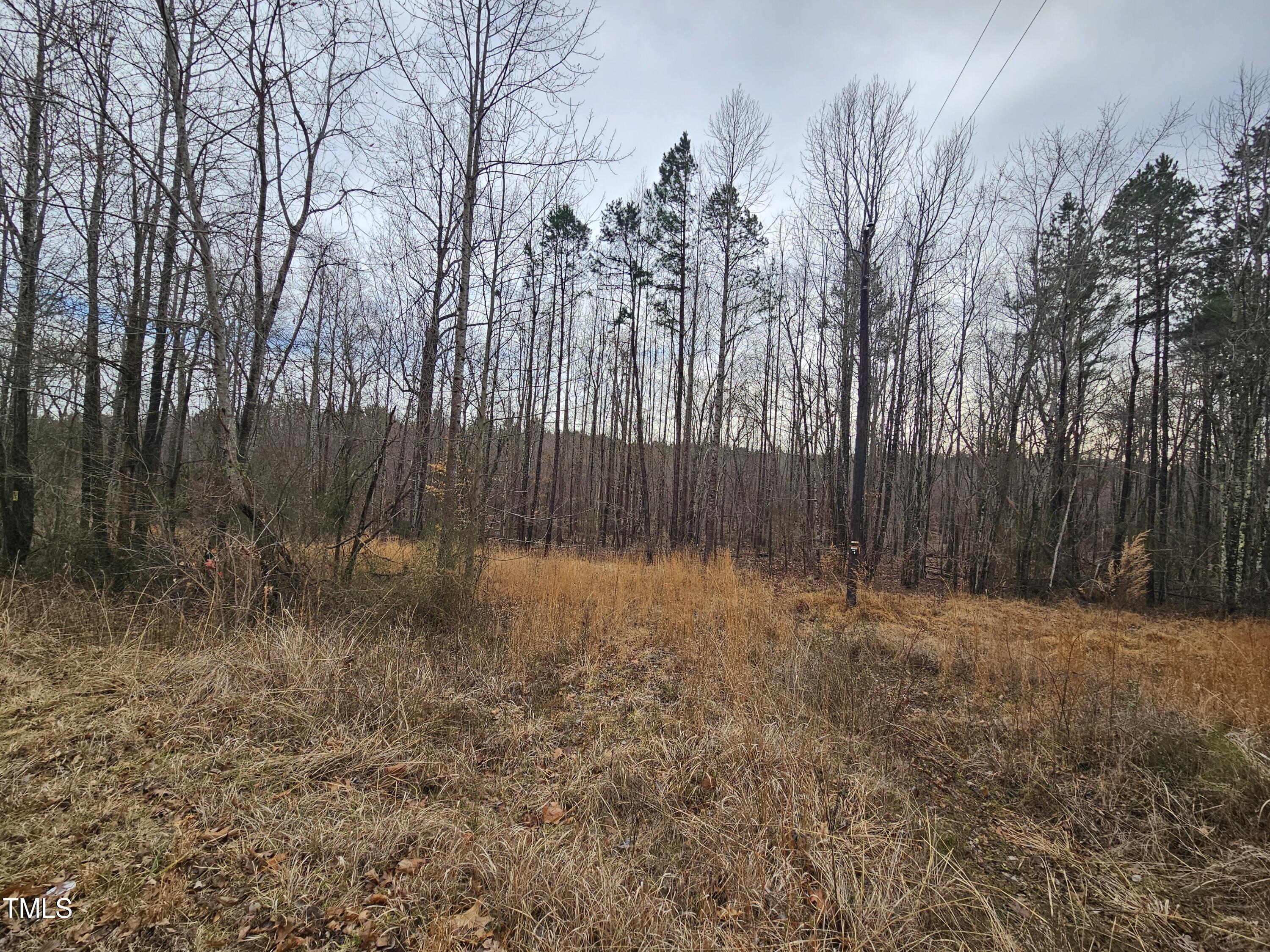 0 Charlie Stovall Road Property Photo 9