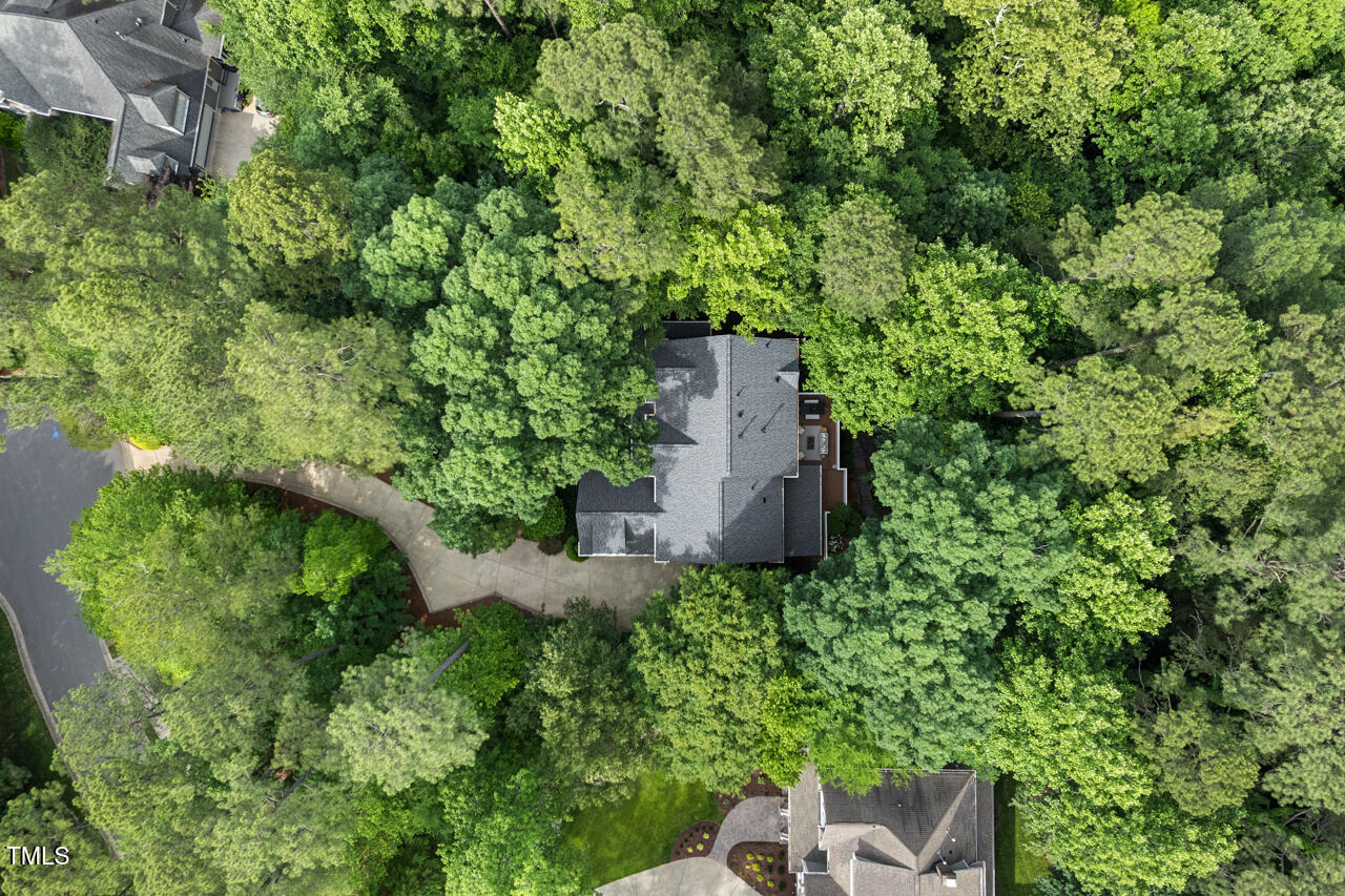 216 Copper Beech Court Property Photo 53