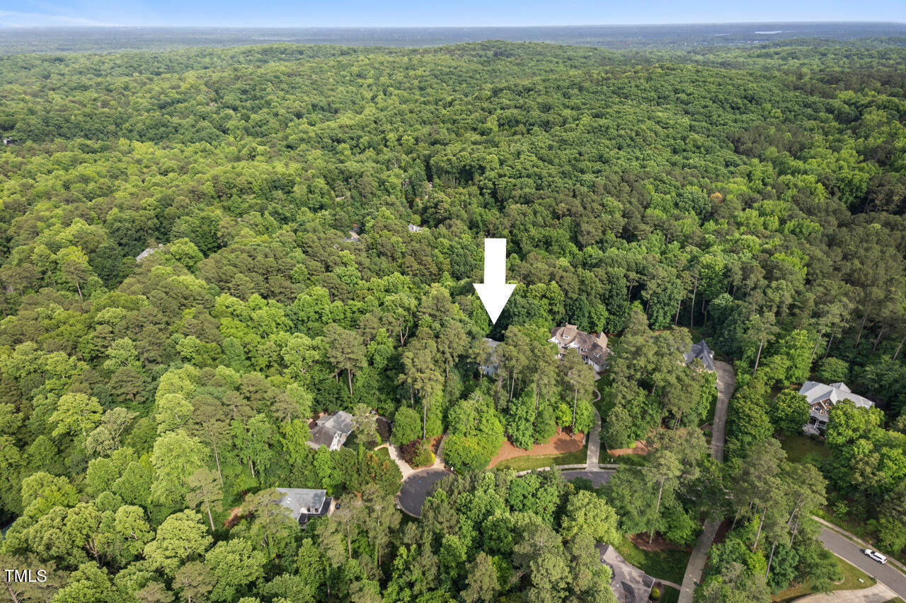 216 Copper Beech Court Property Photo 54