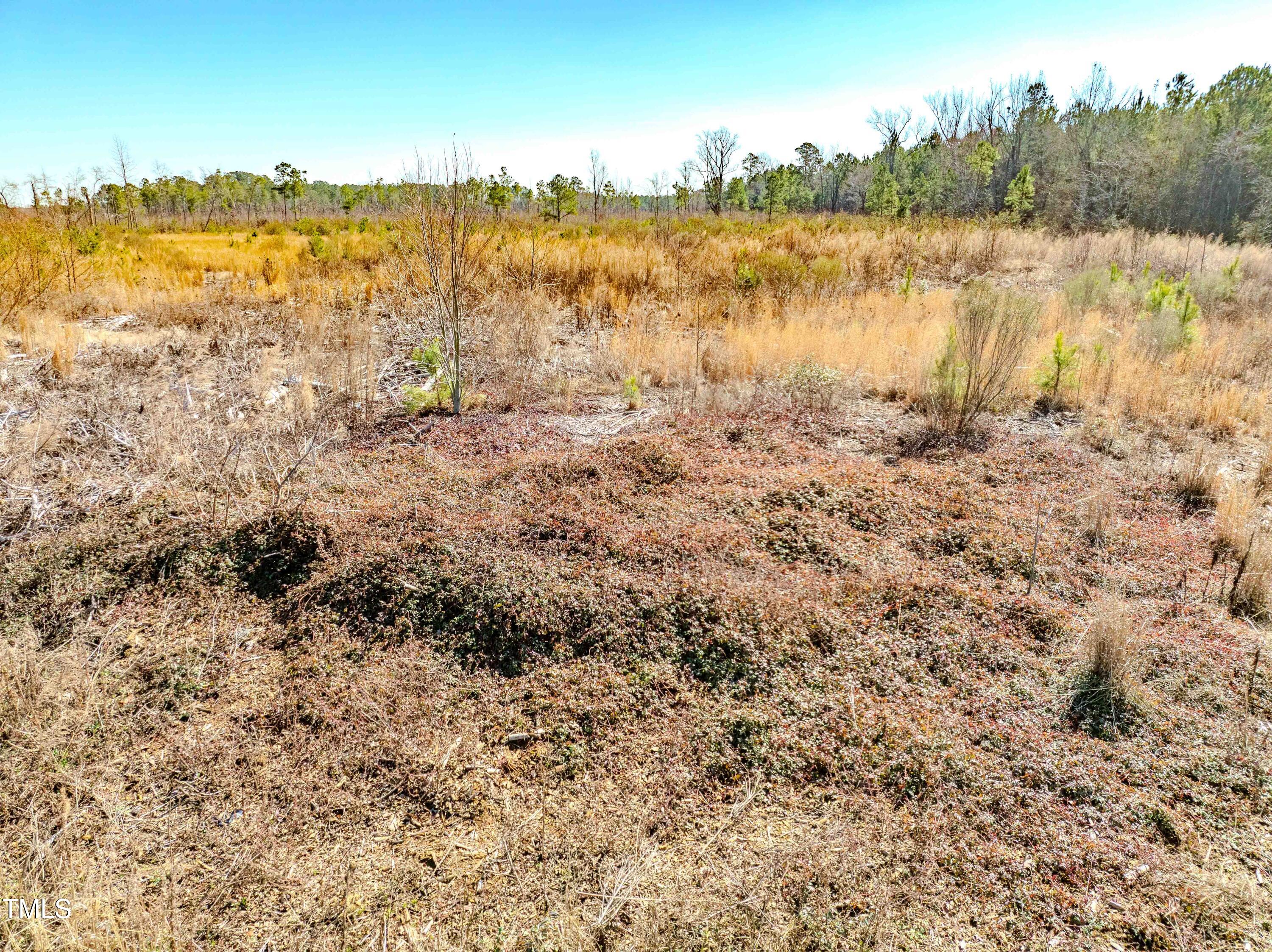 0 State Hwy 72 Property Photo 13