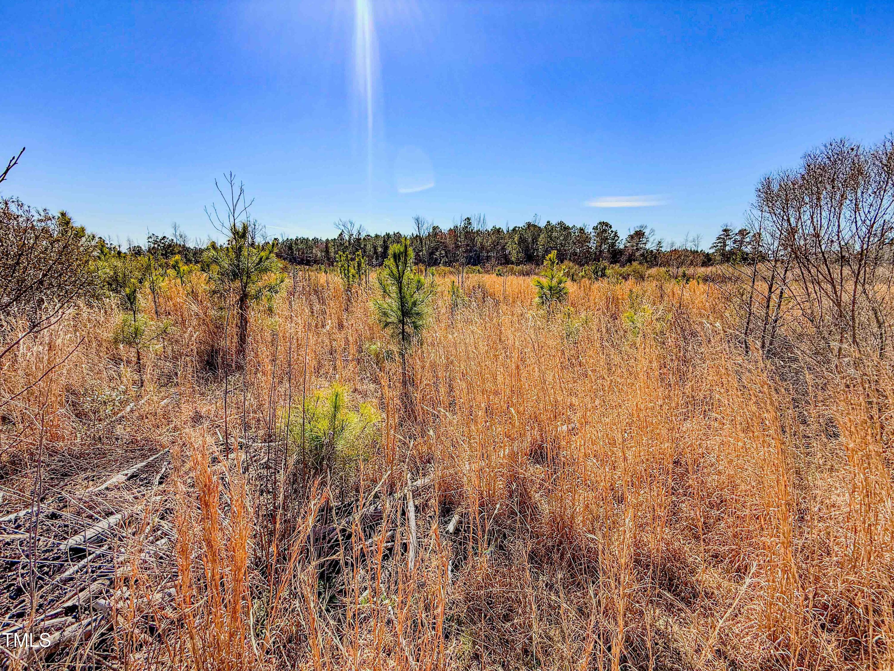 0 State Hwy 72 Property Photo 26
