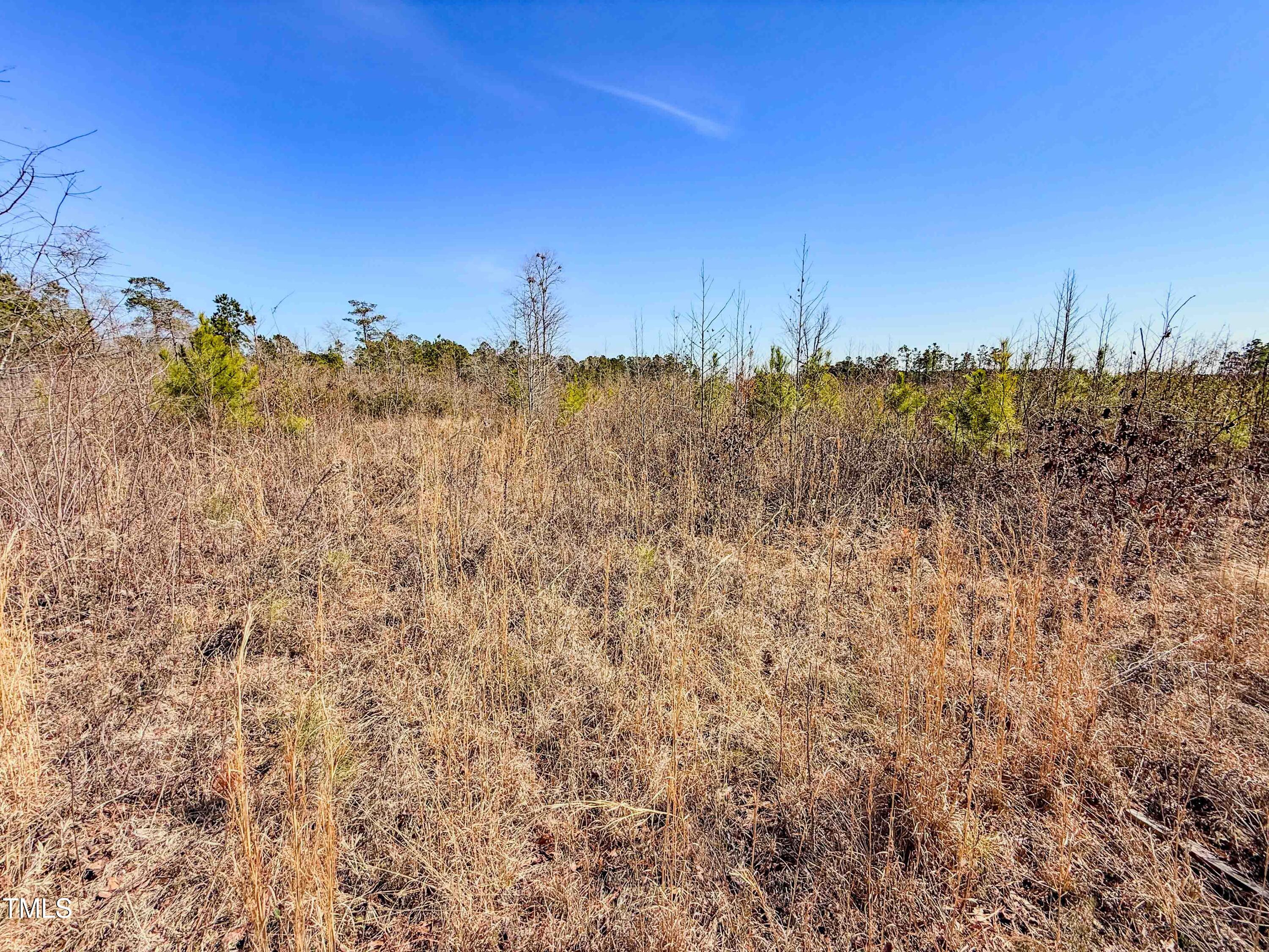 0 State Hwy 72 Property Photo 30