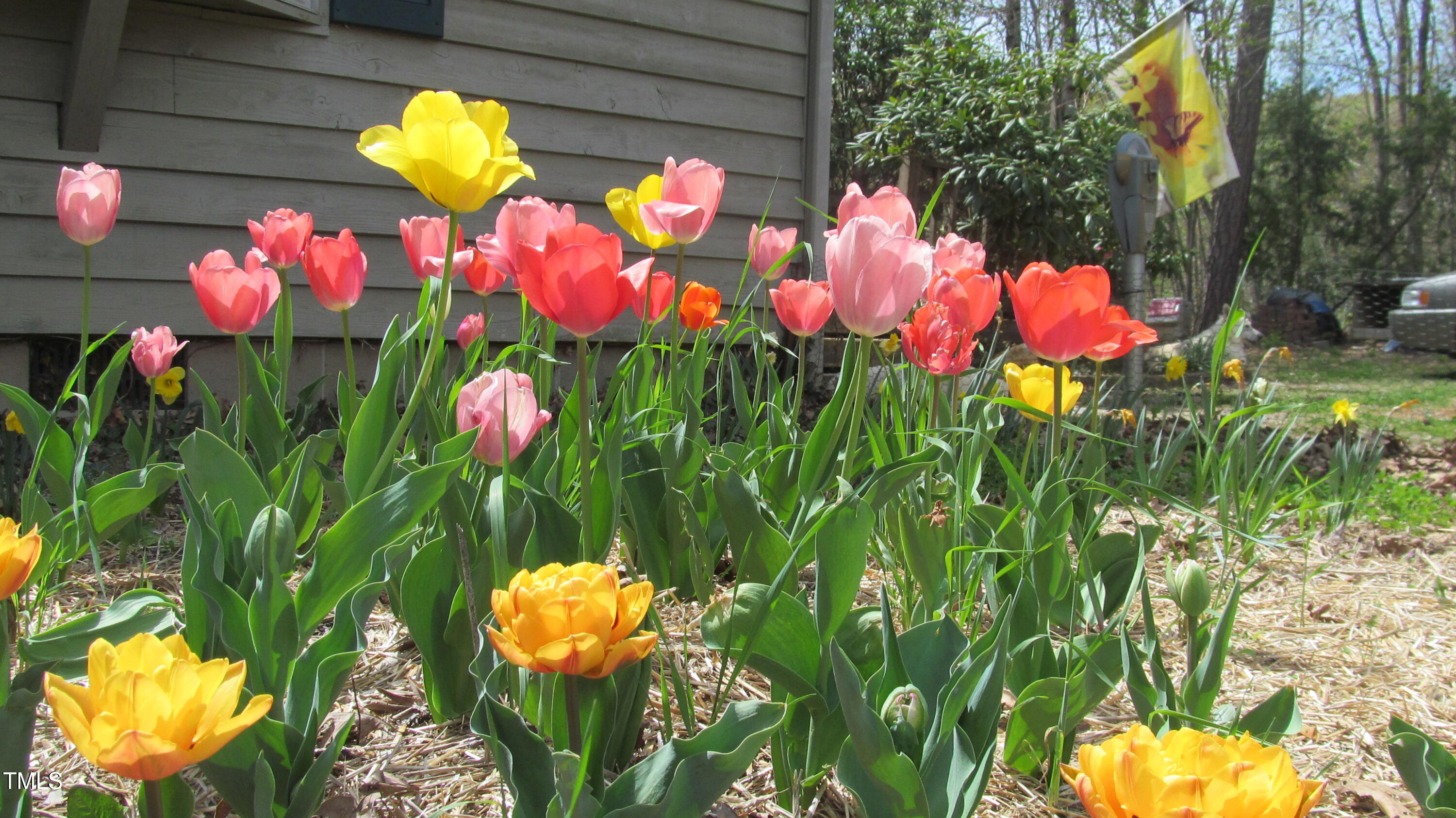 100 Red Bud Court Property Photo 24
