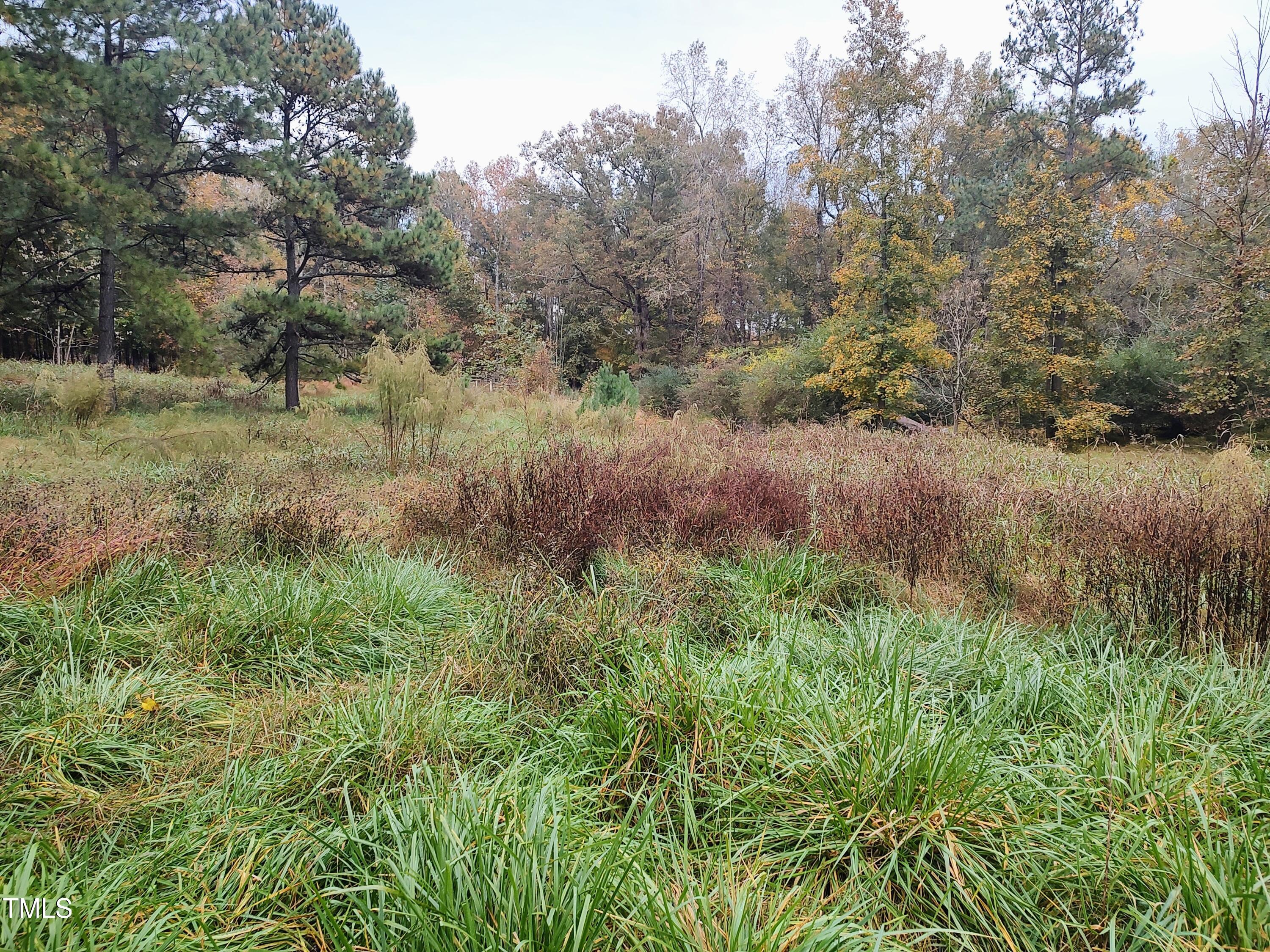 7808 Nc Highway 49 Property Photo 17