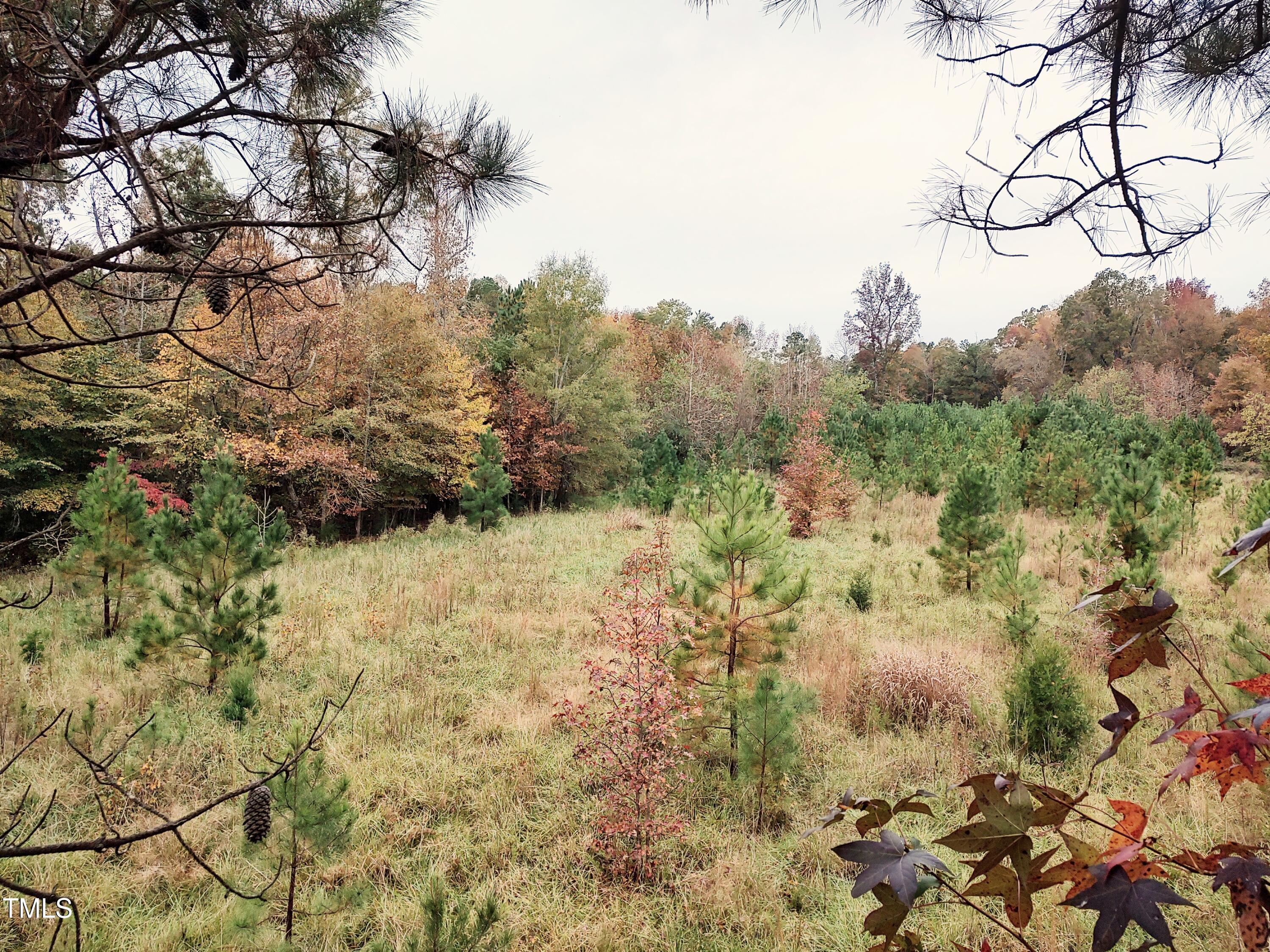 7808 Nc Highway 49 Property Photo 21