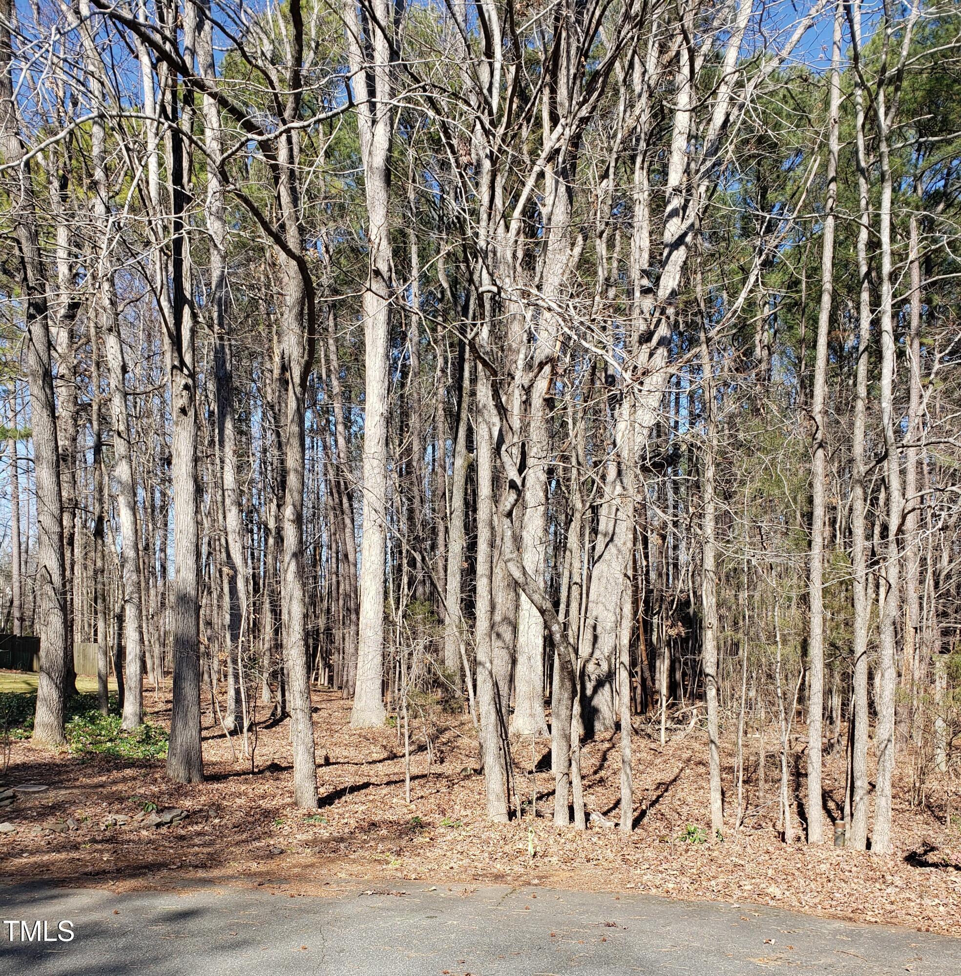 0 Cottonwood Court Property Photo 4