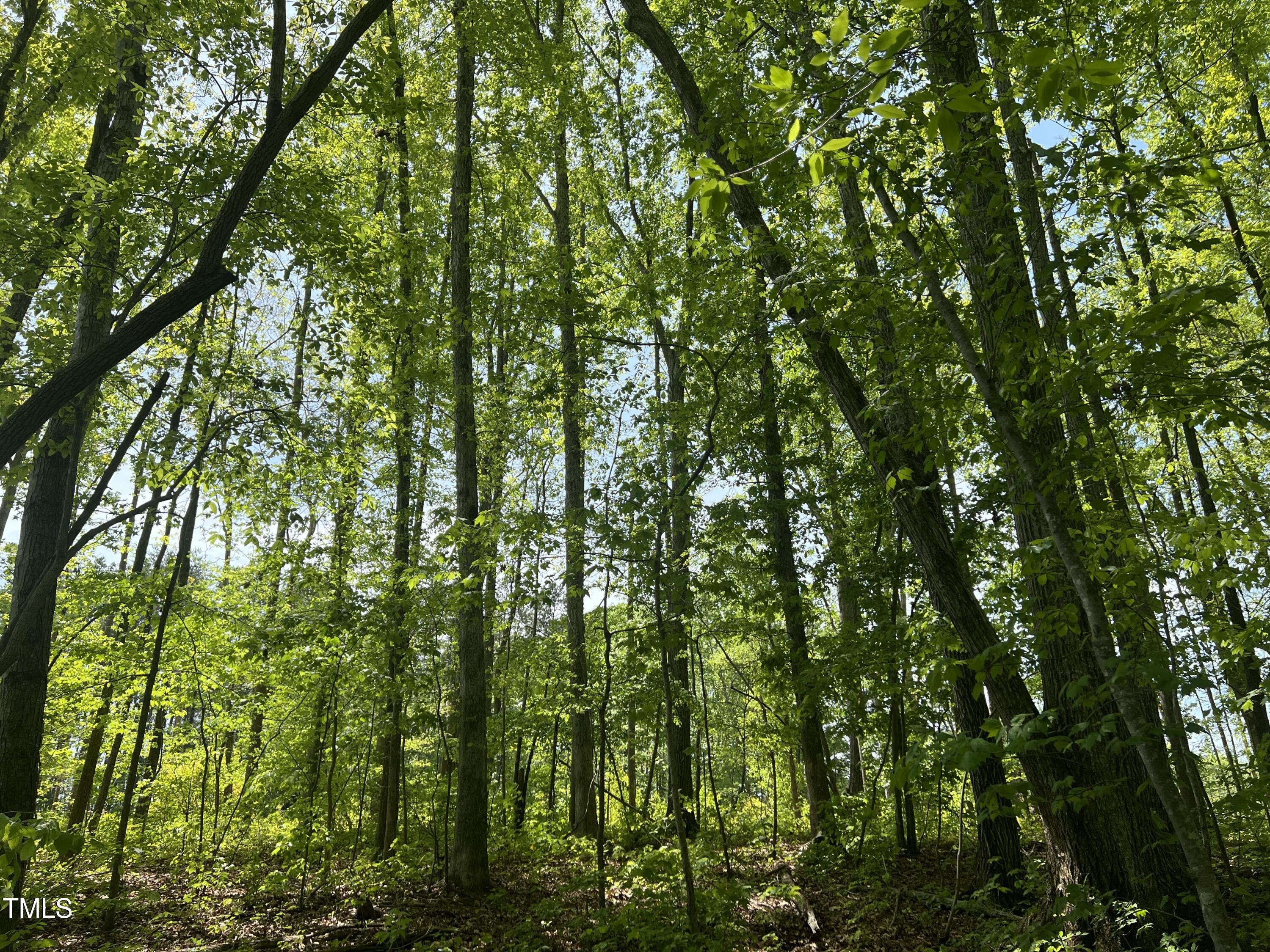 Lot 4 Loftis Loop Property Photo 3