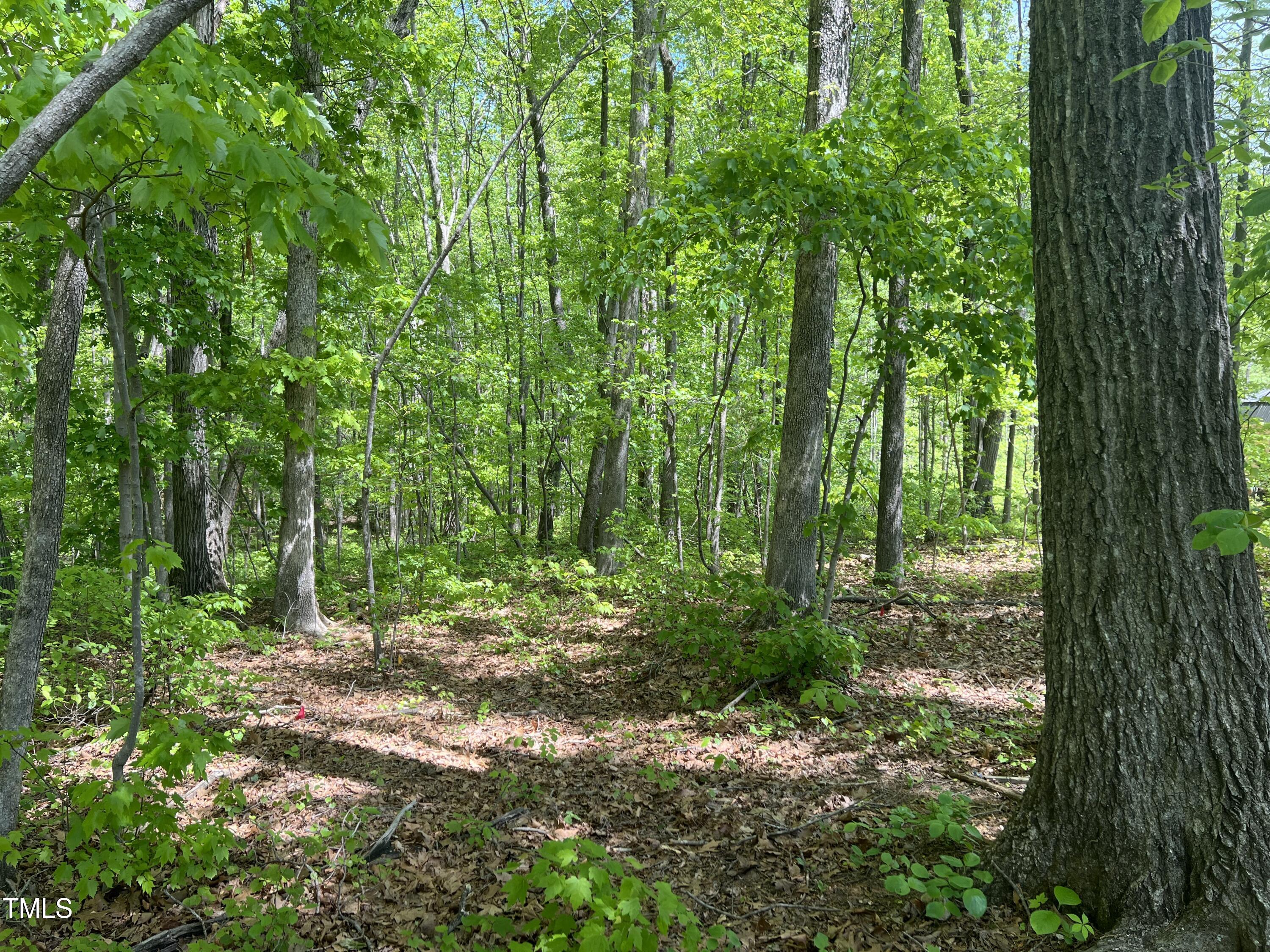 Lot 4 Loftis Loop Property Photo 4