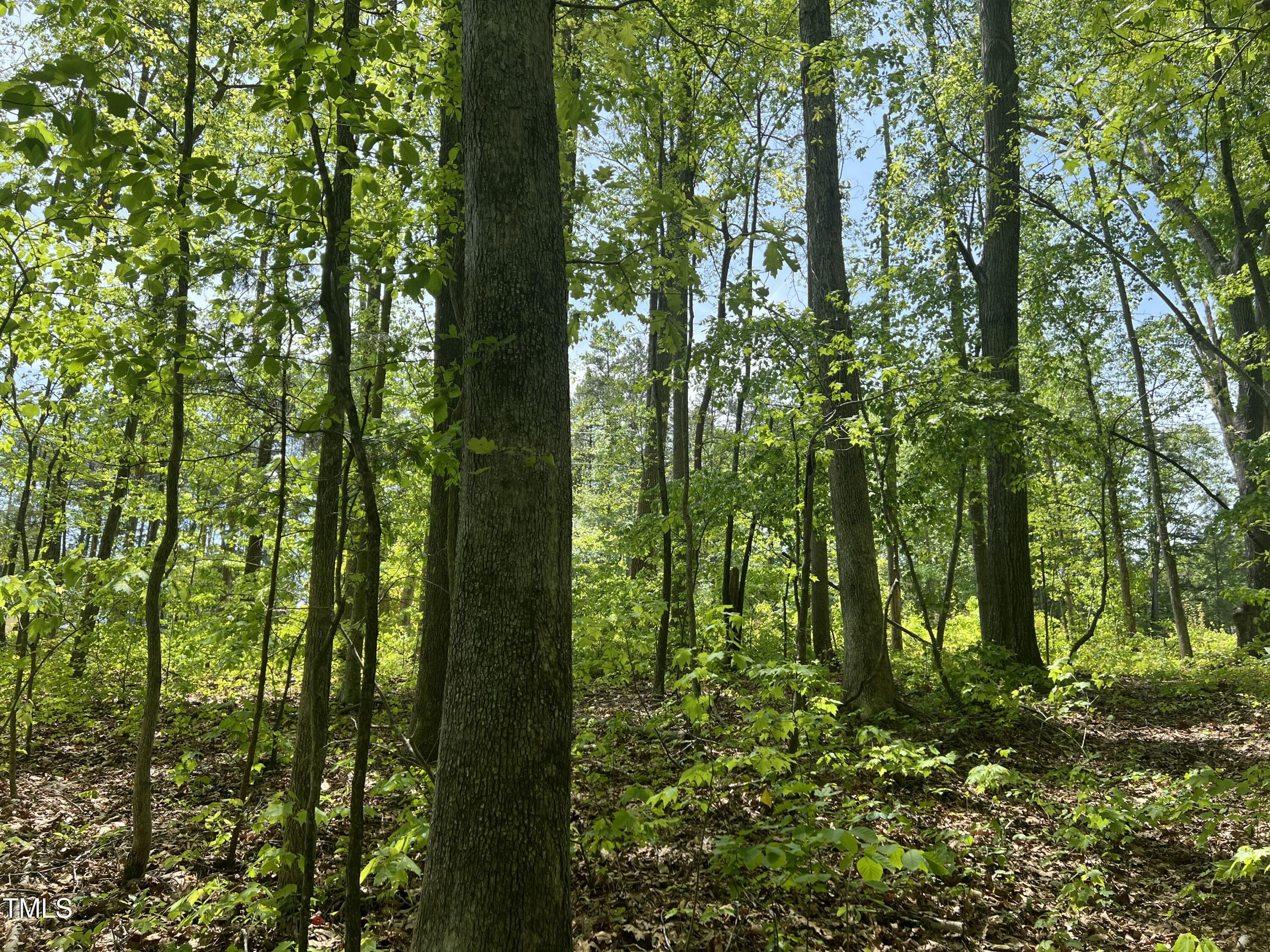 Lot 4 Loftis Loop Property Photo 5