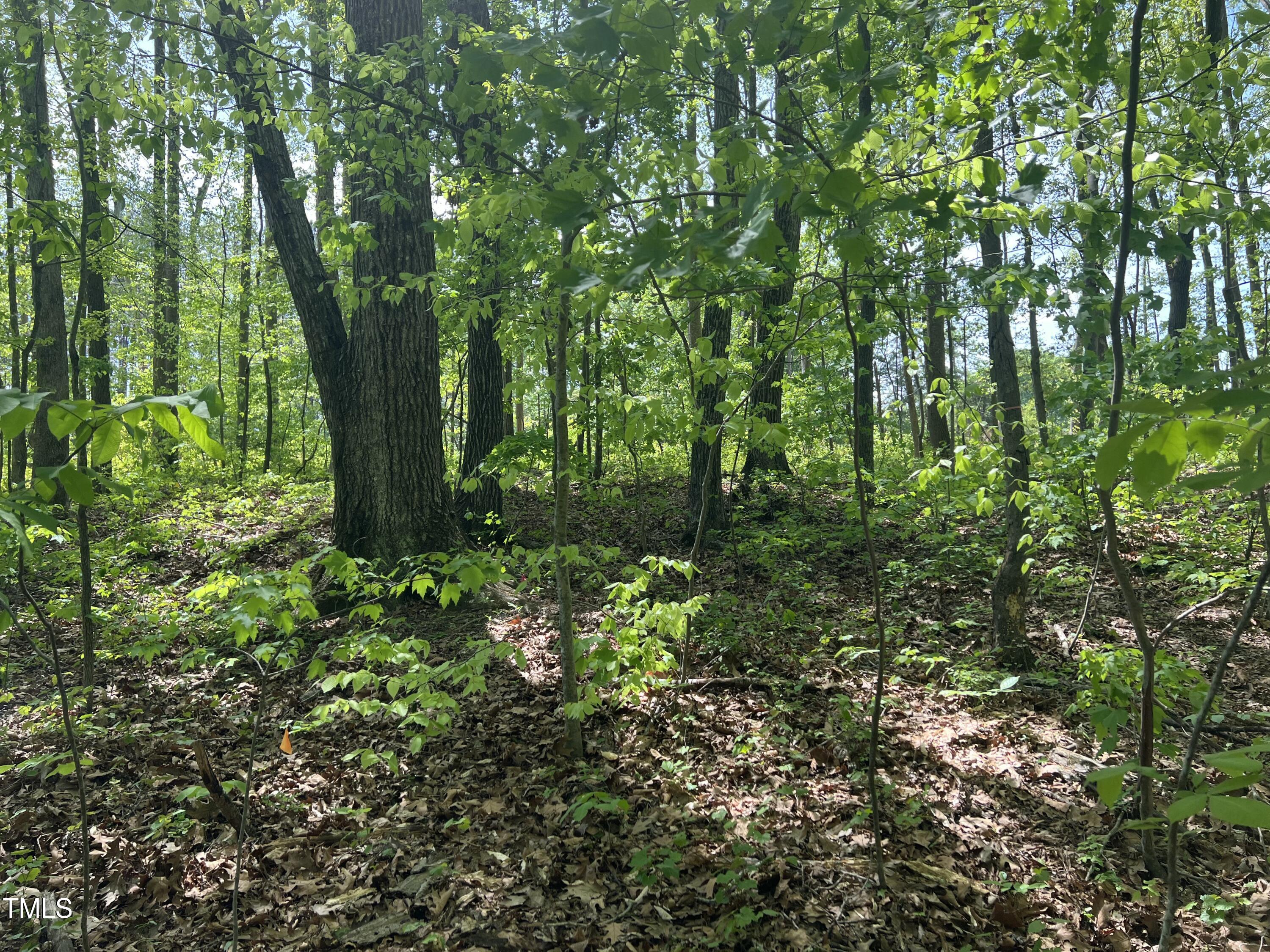 Lot 4 Loftis Loop Property Photo 6