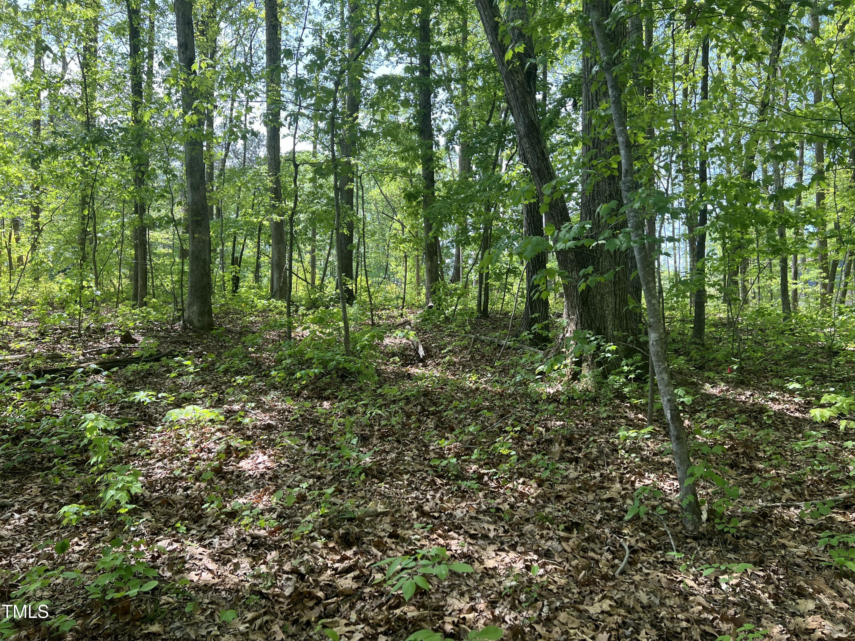 Lot 4 Loftis Loop Property Photo 8
