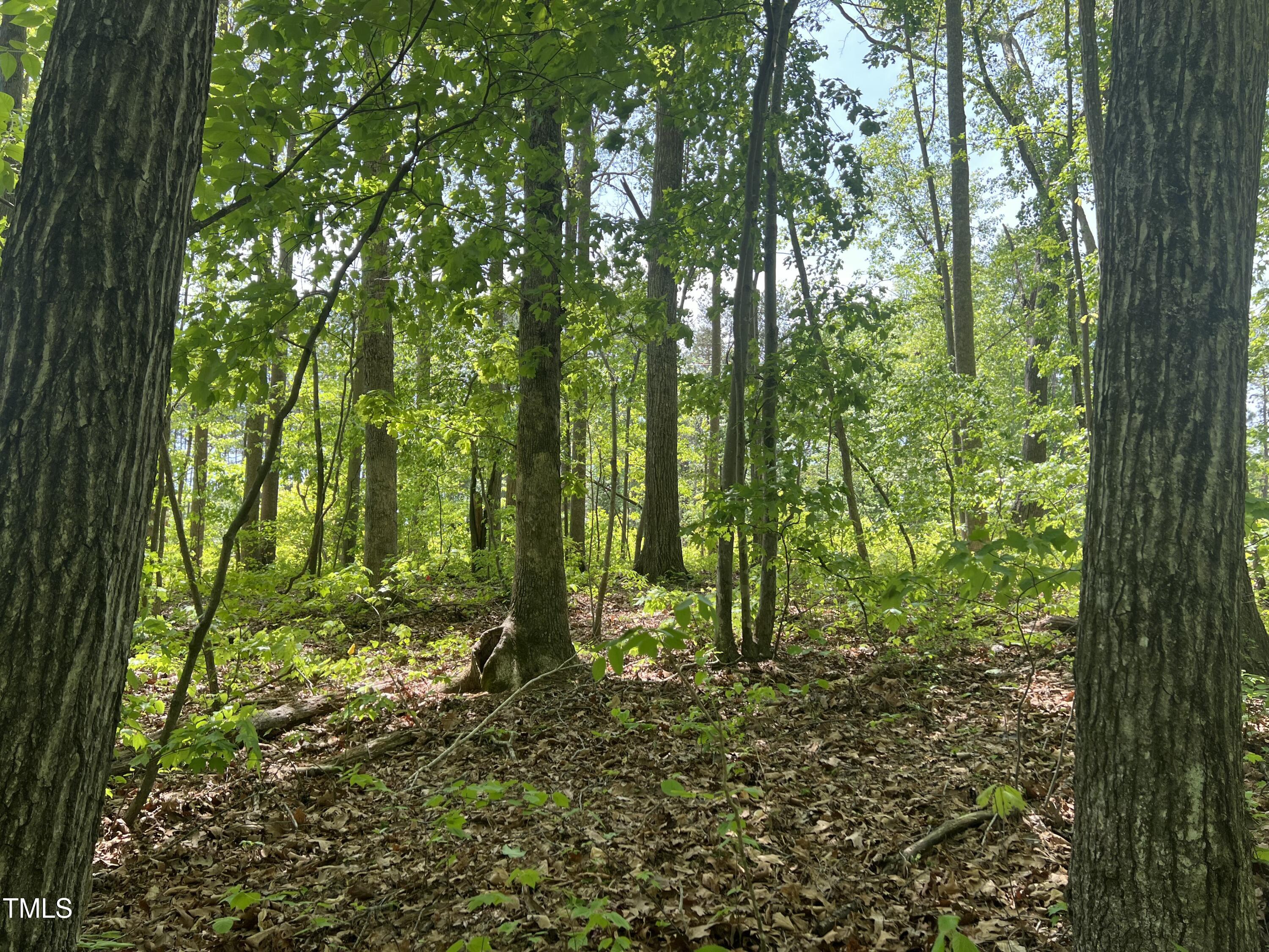 Lot 4 Loftis Loop Property Photo 9