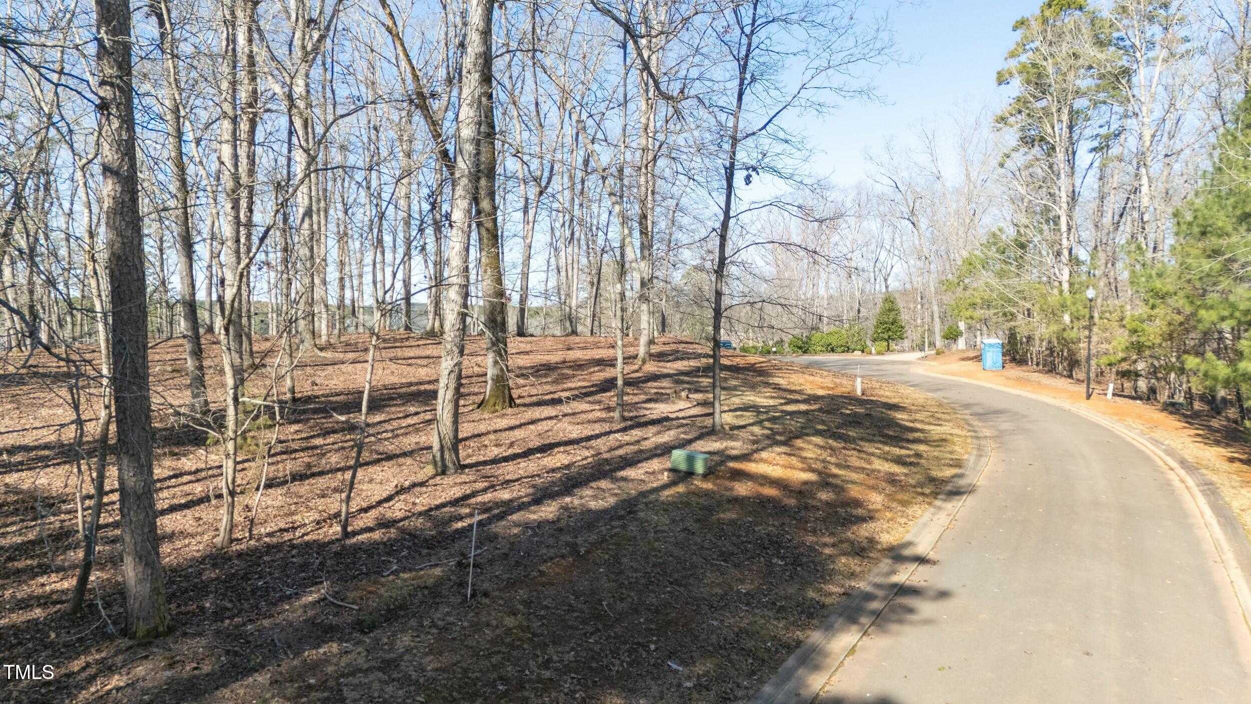 111 Buckthorn Drive Property Photo 7