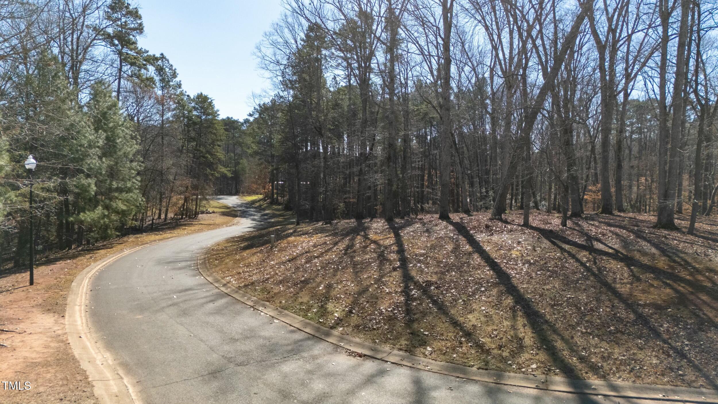 111 Buckthorn Drive Property Photo 8